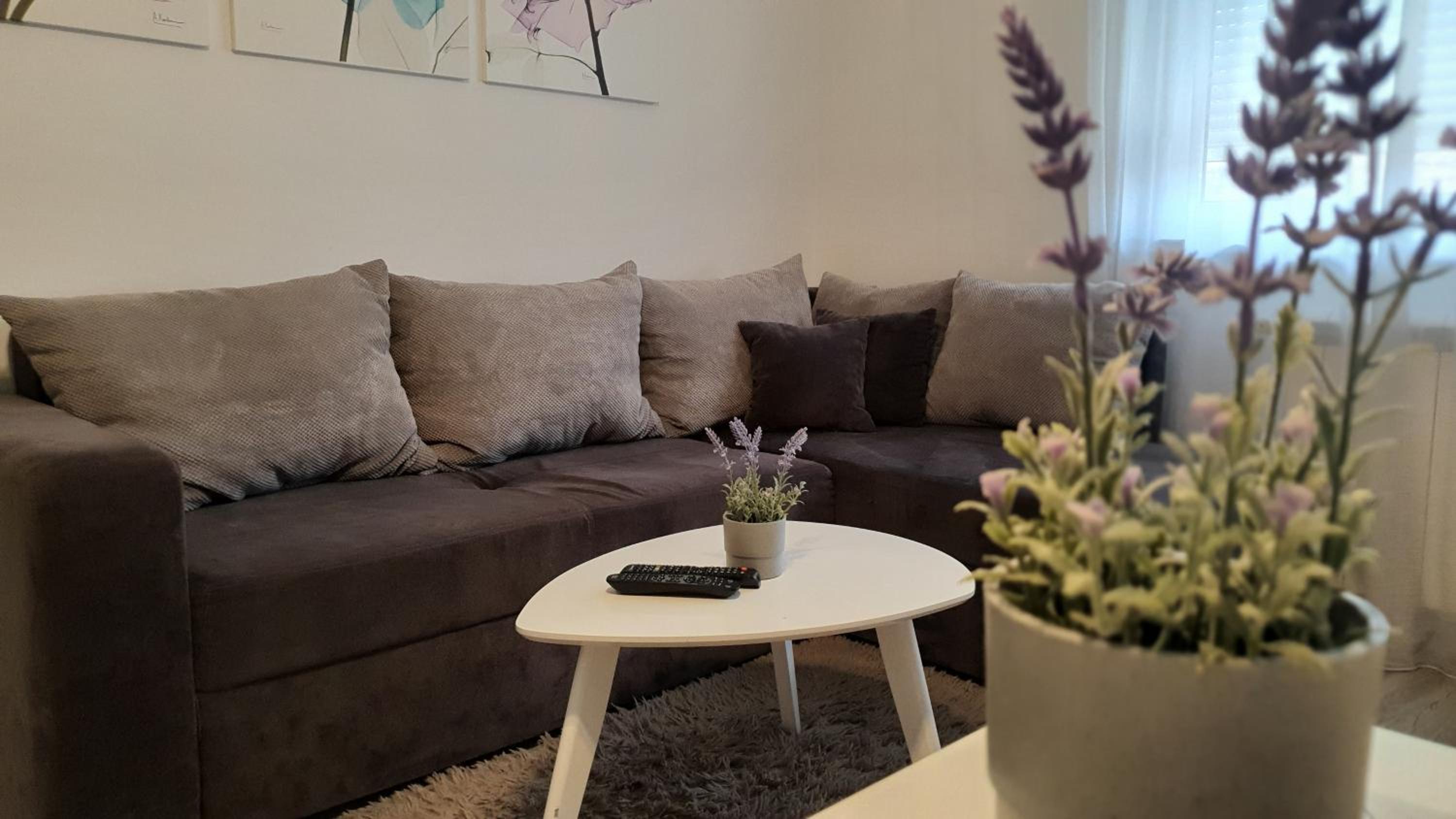 Apartments Spring view 3
