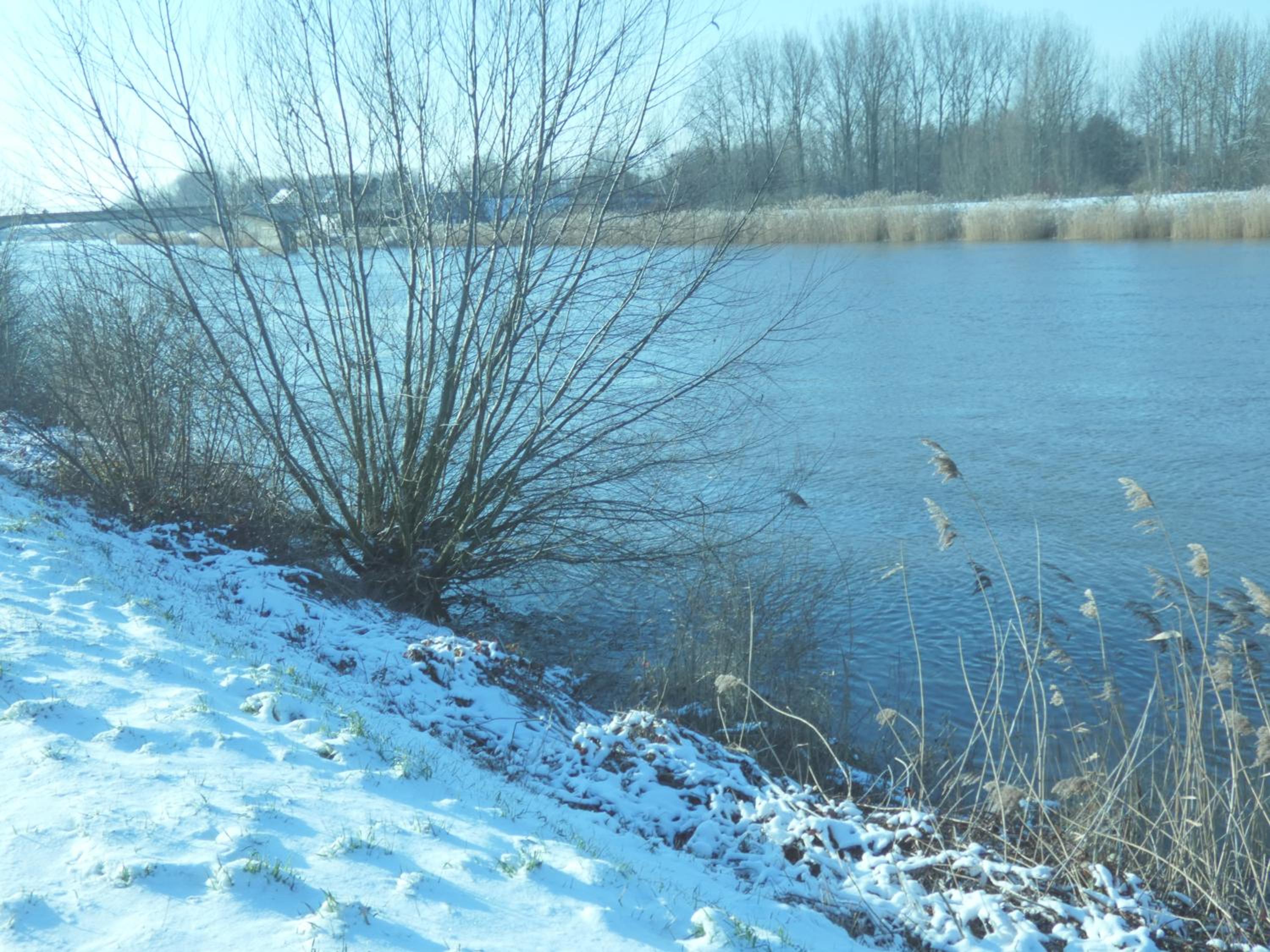 B&B De Noorderwind