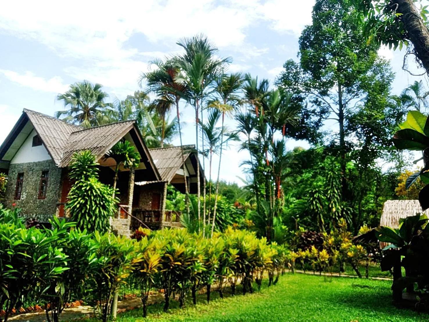 Tree Tops River Huts