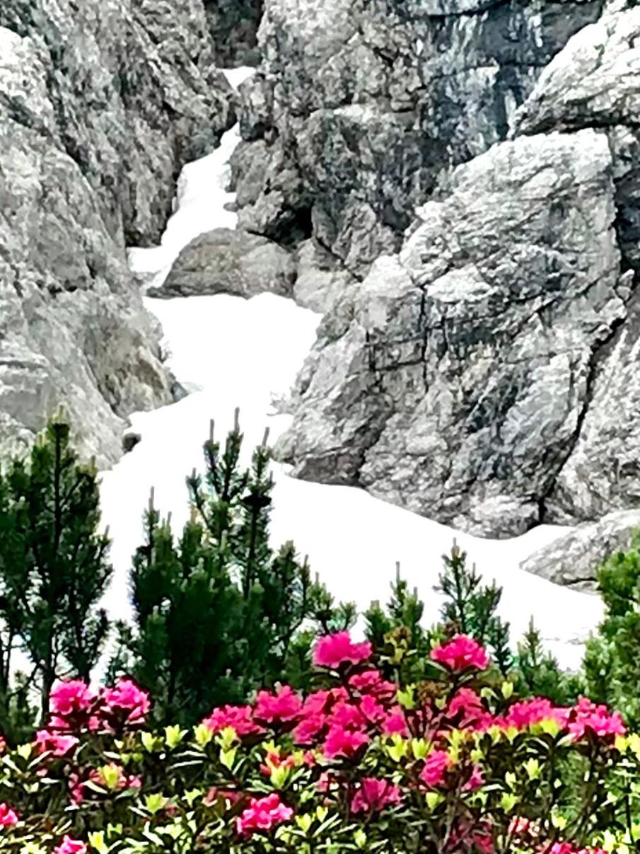 Mountain Chalet R