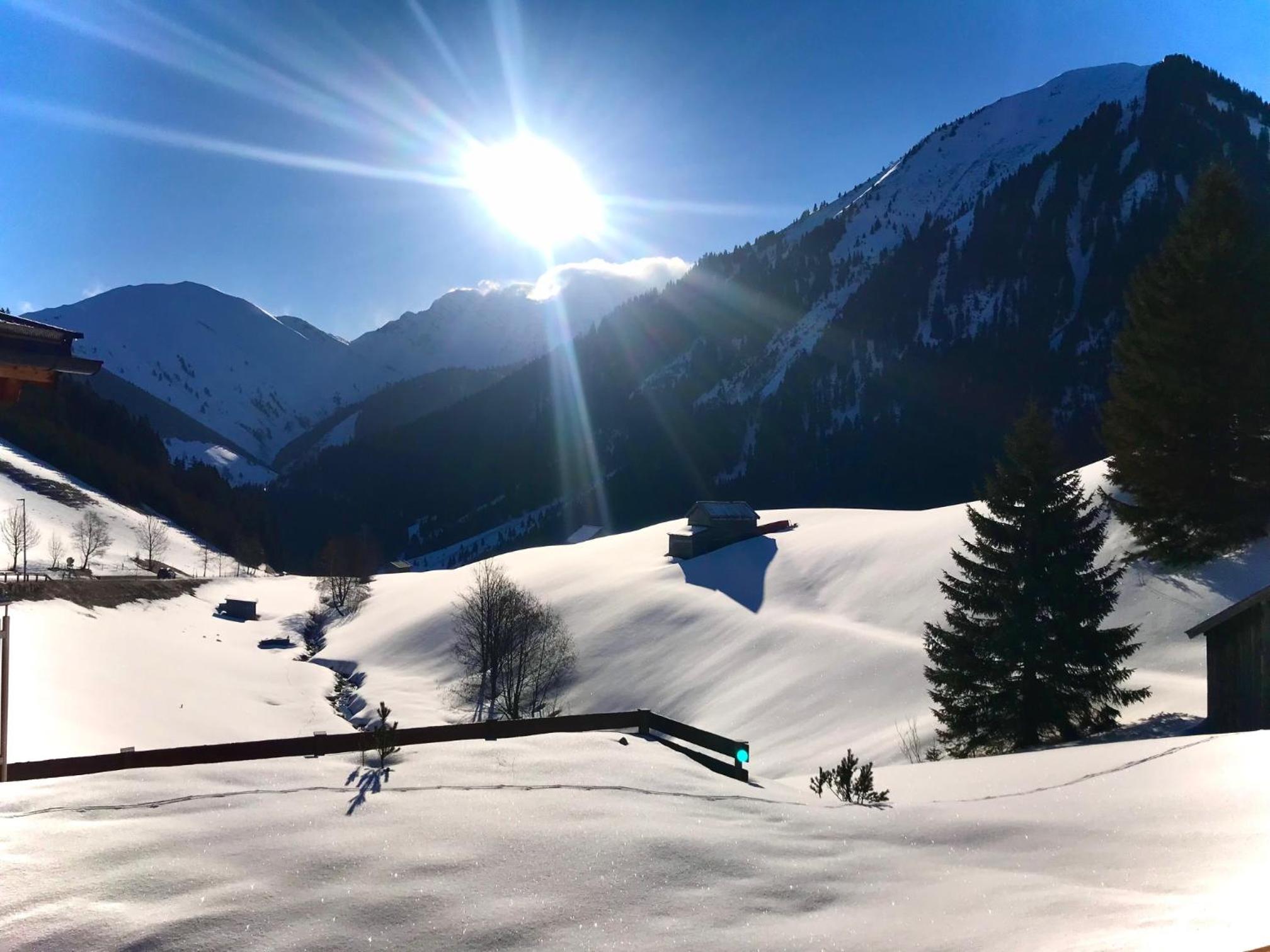 Mountain Chalet R