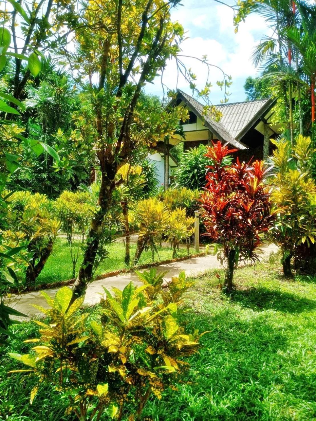 Tree Tops River Huts