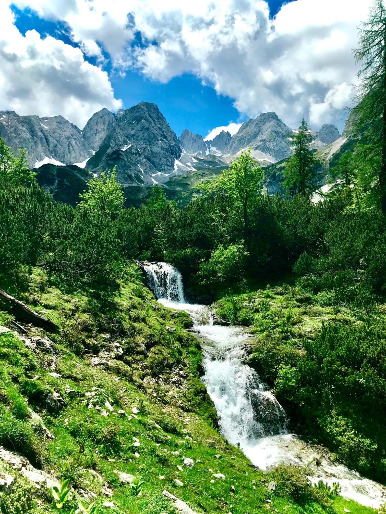 Mountain Chalet R