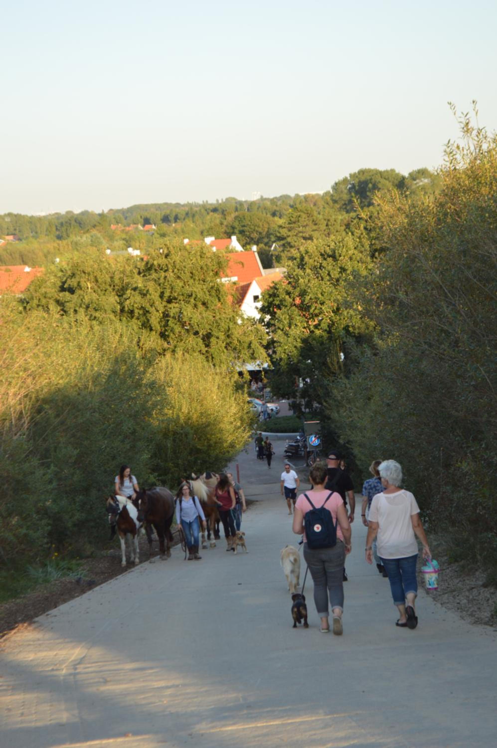 Photo 16