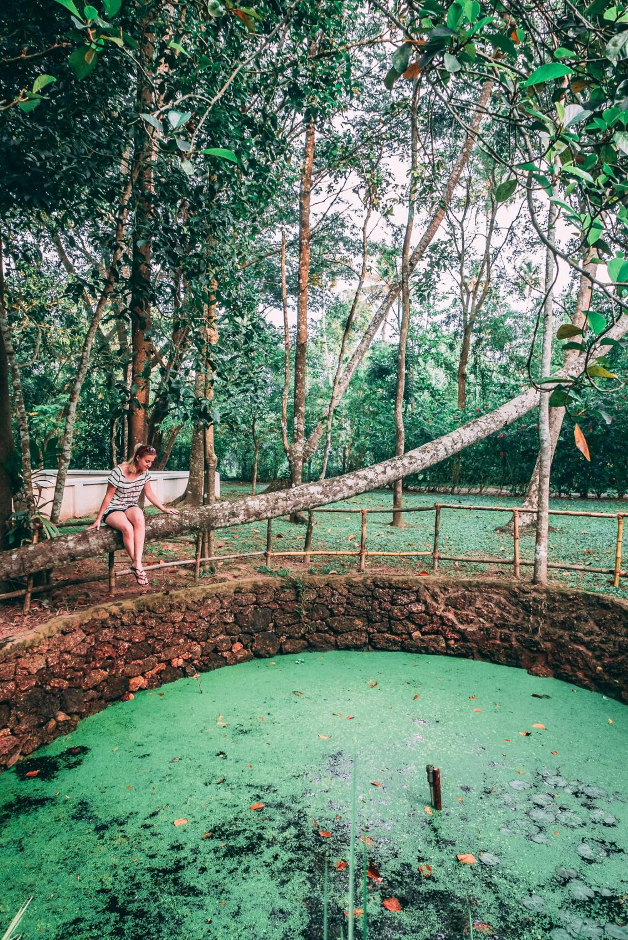 Marari Beach Resort Alleppey – A CGH Earth Experience Marari Beach Resort Alleppey – A CGH Earth Experience