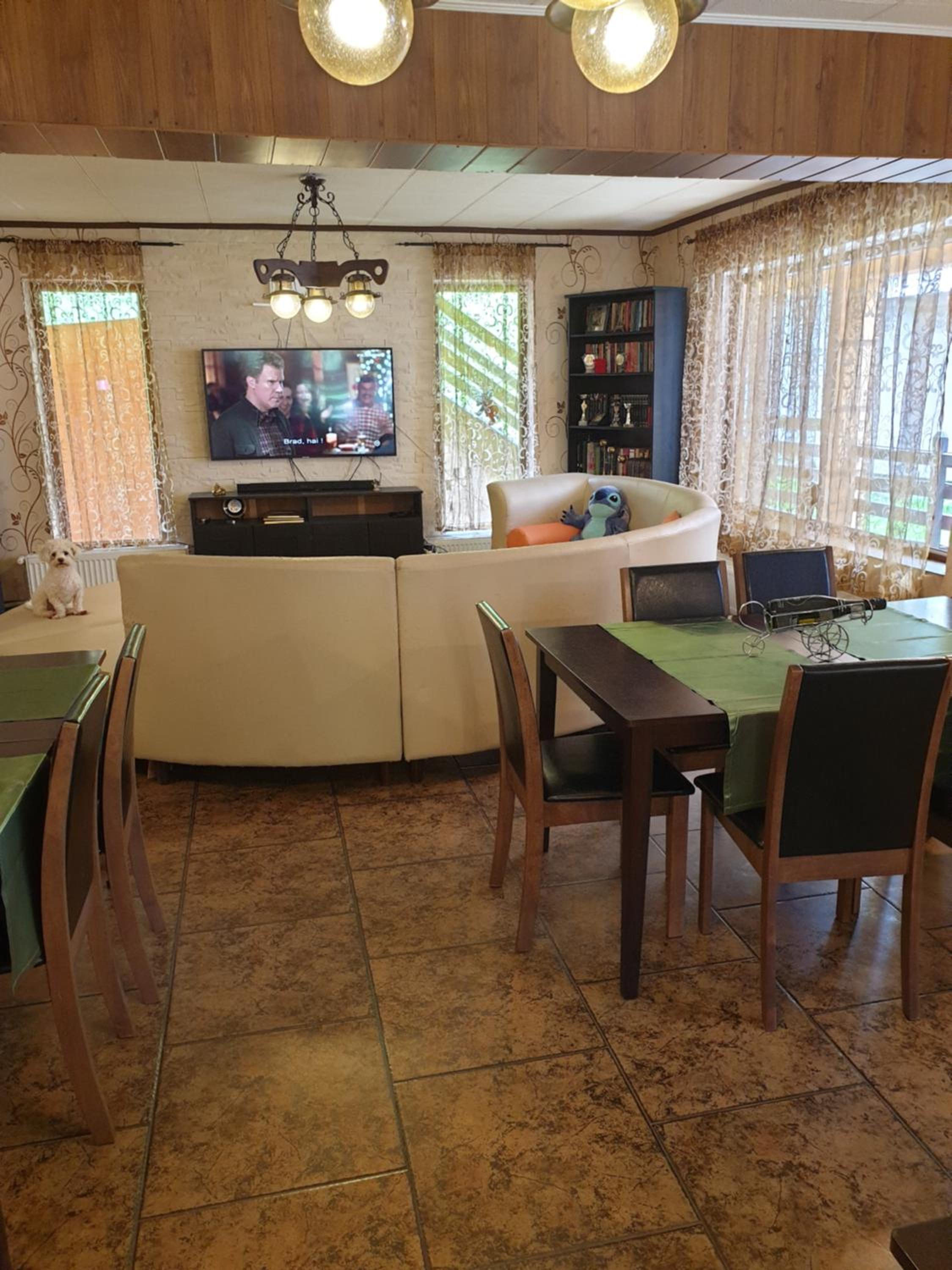 Vila Bianca Dragusin view 3