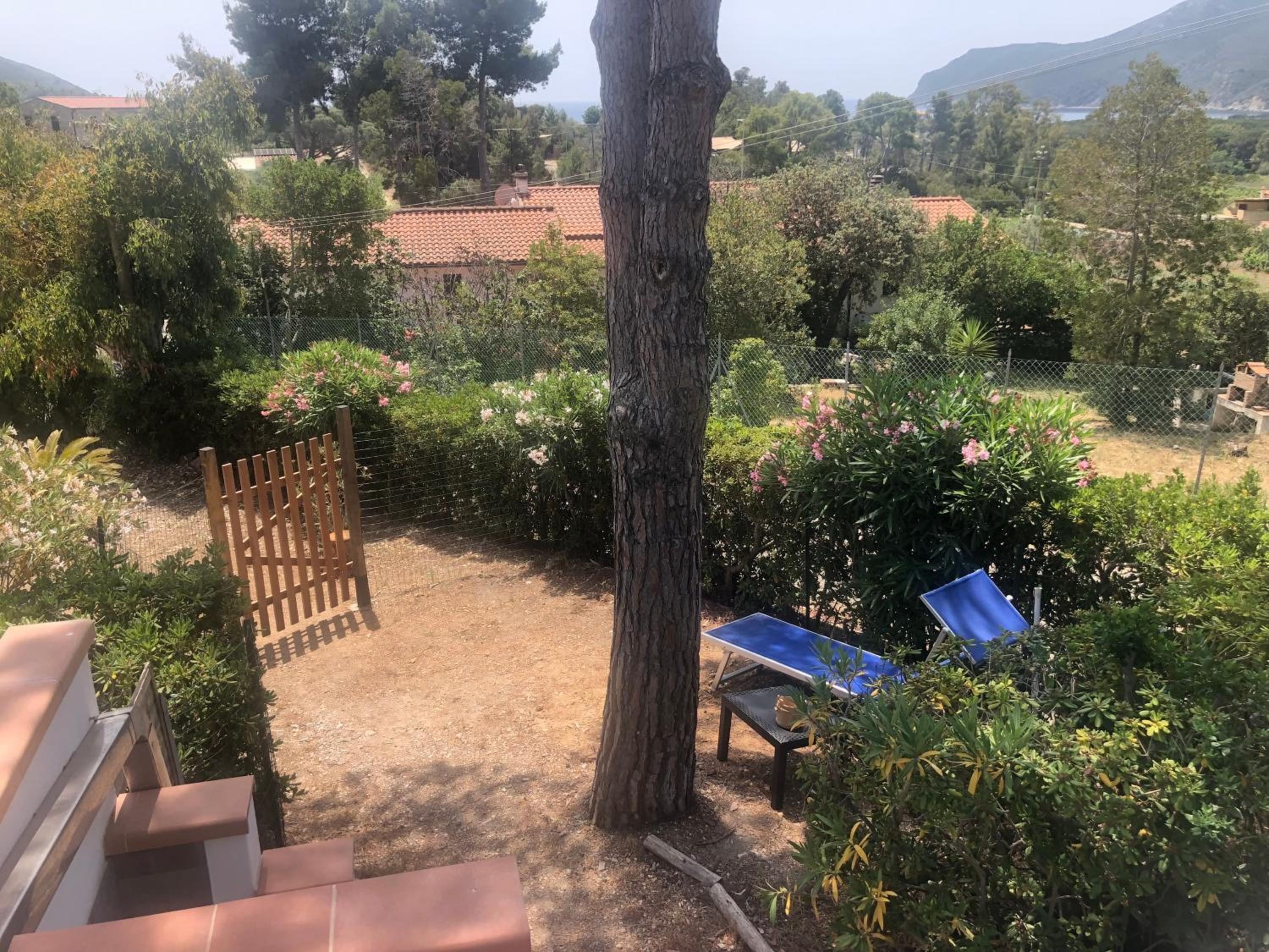 Photo 114