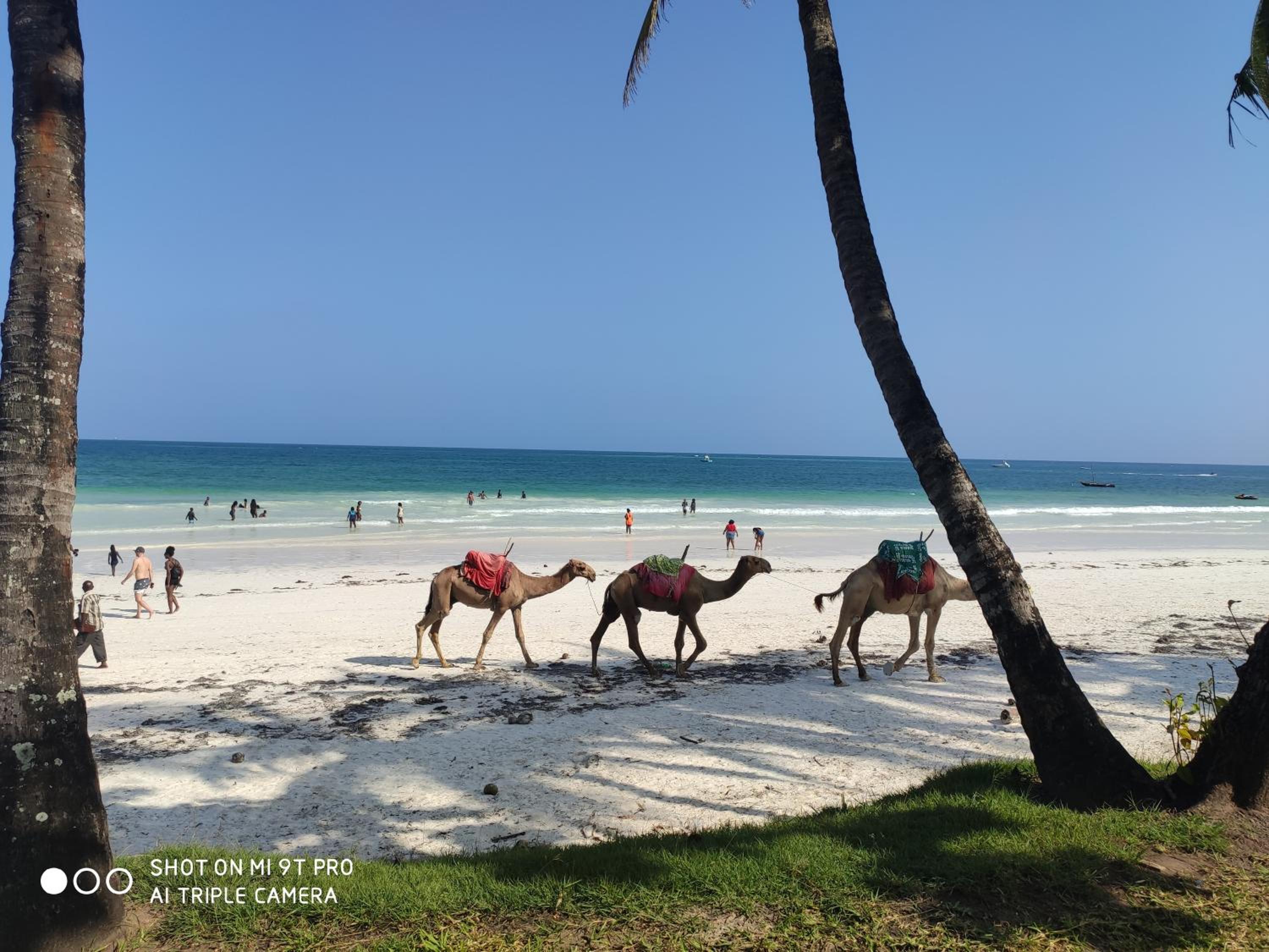 Rosy Sea Front Beach Condo view 2