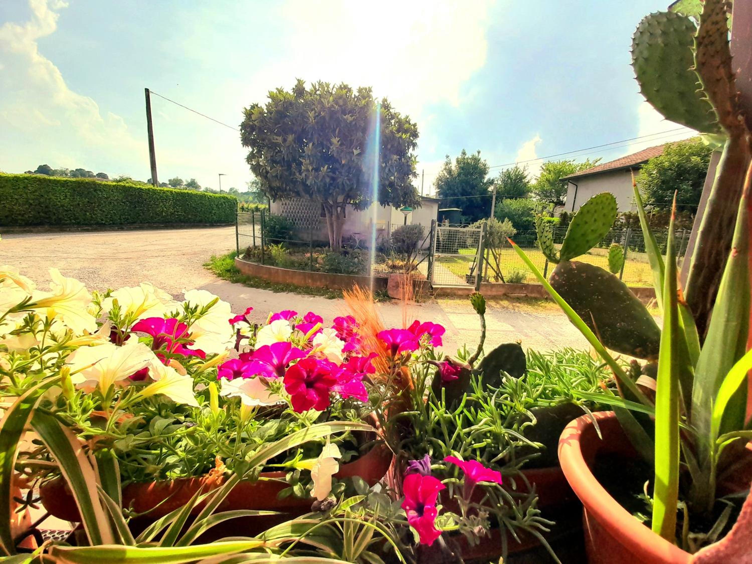 ZANINA COUNTRY HOUSE