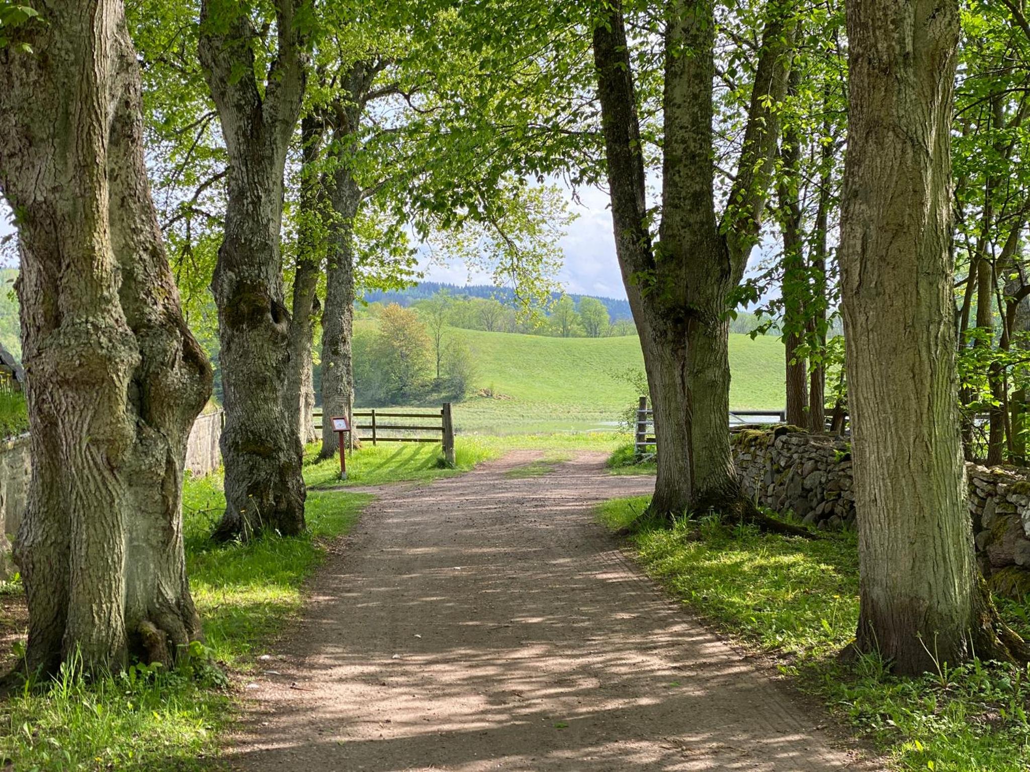 Klostergårdens Vandrarhem view 4