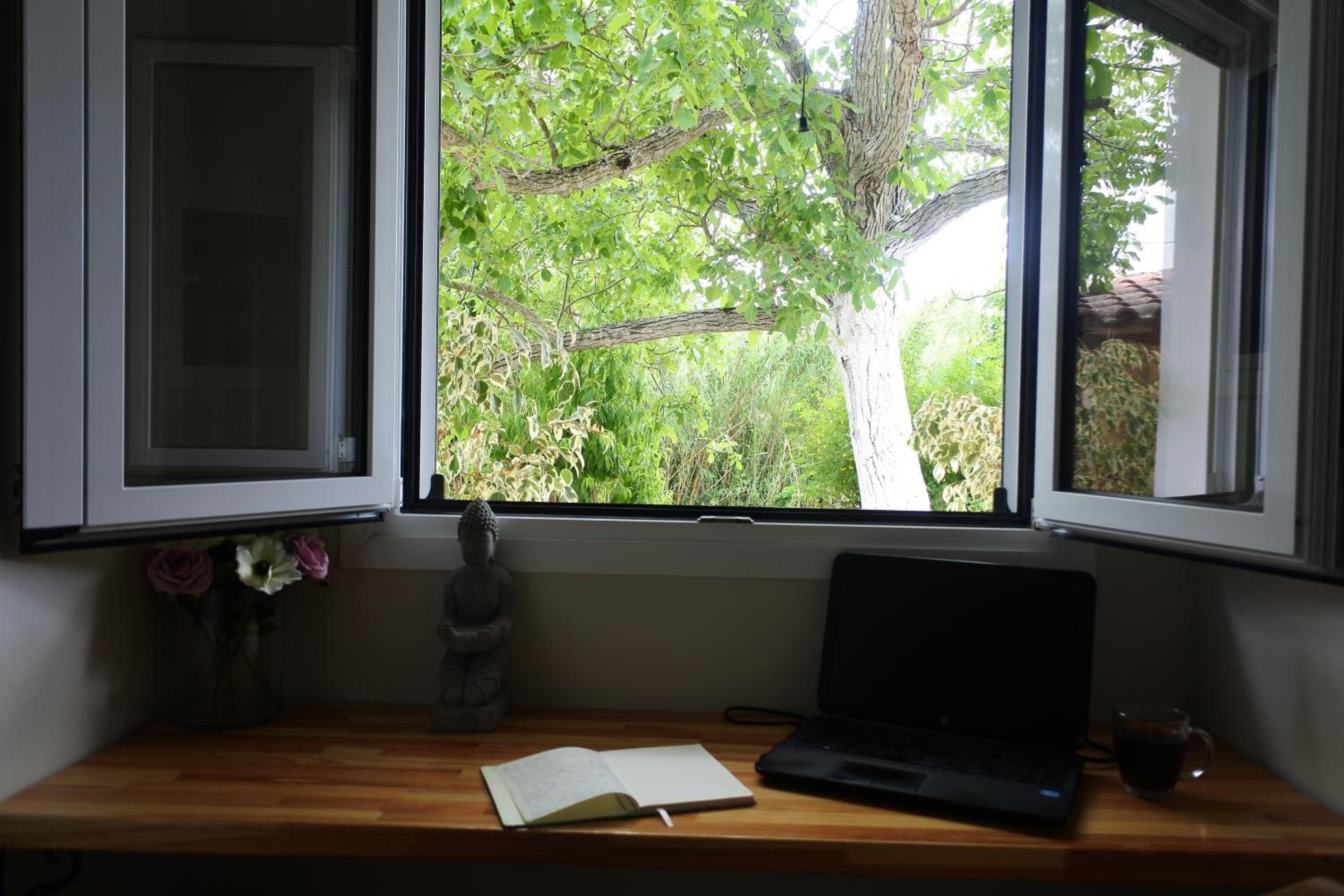 Mina's serene garden house