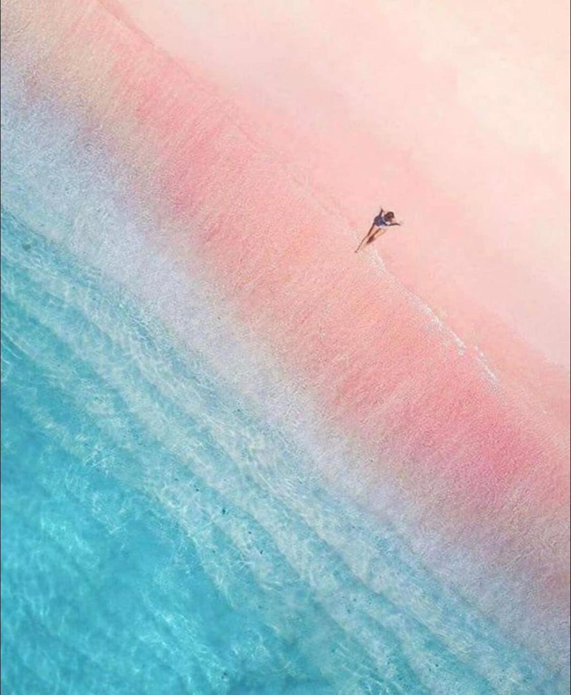 human