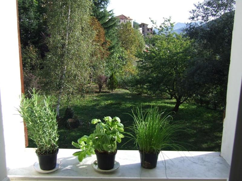 Photo 42