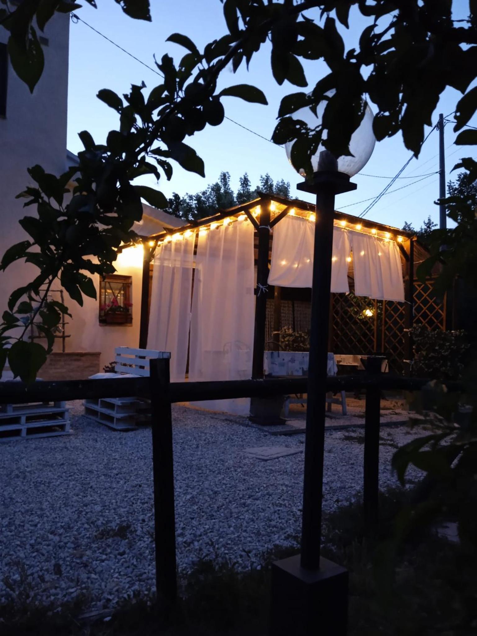 Sotto l'Ulivo view 2