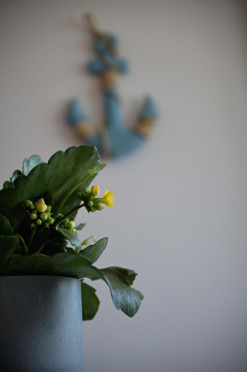 Photo 35