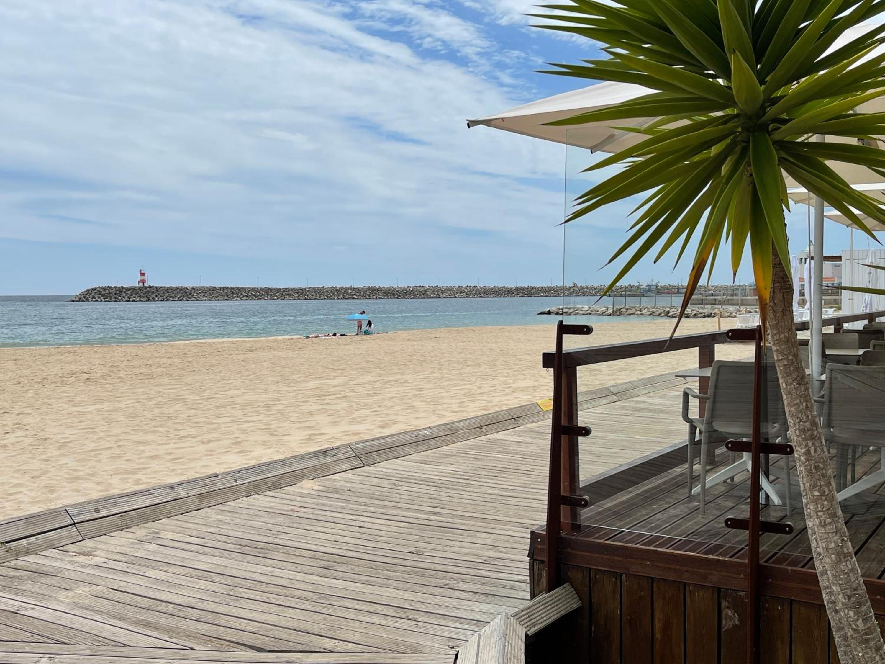 Lovely 2 bedroom with a pool in front of the beach view 4