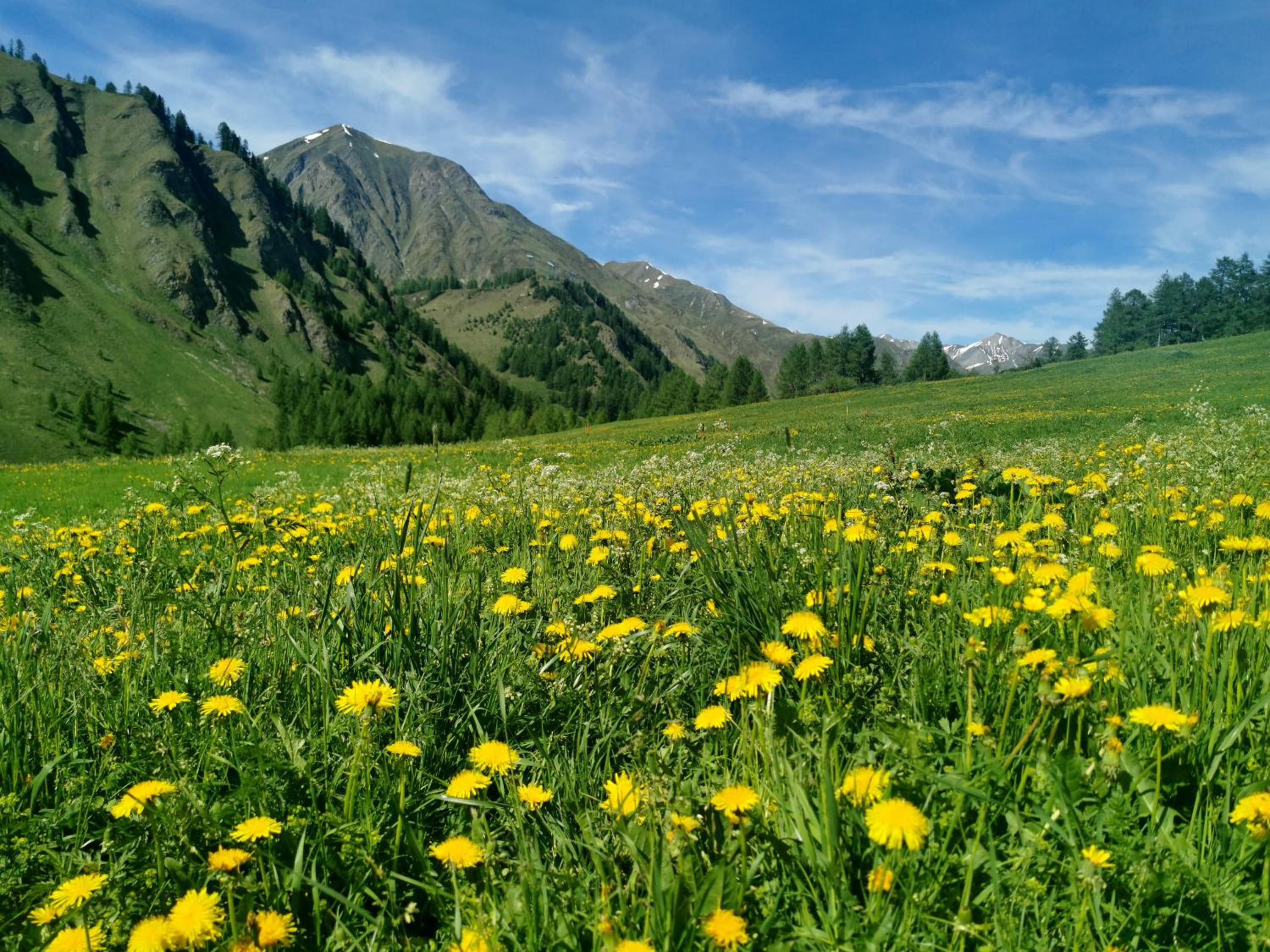 Engadin Lodge PREMIUM & PRIVATE