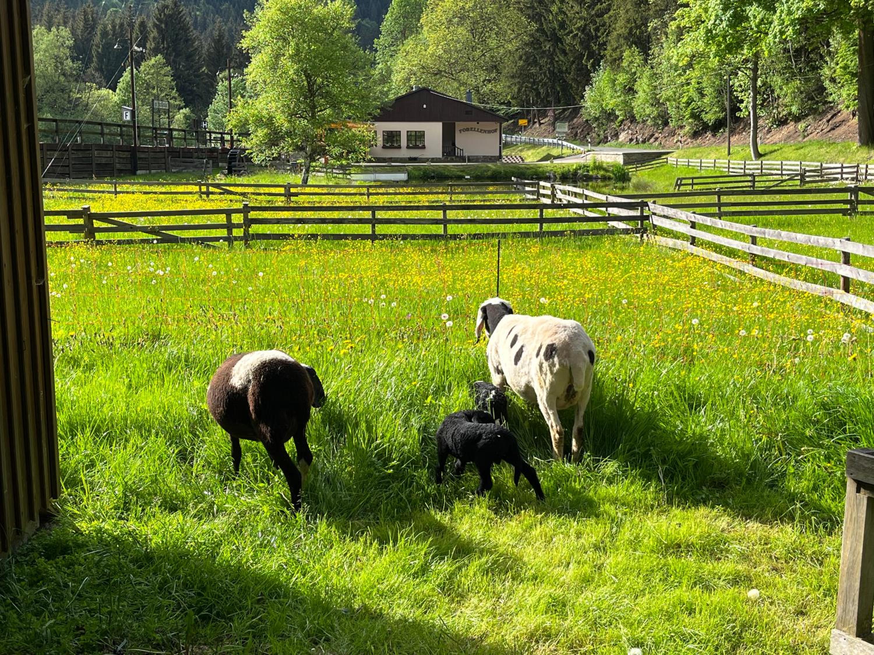 Ferienwohnung Schmalzgrube