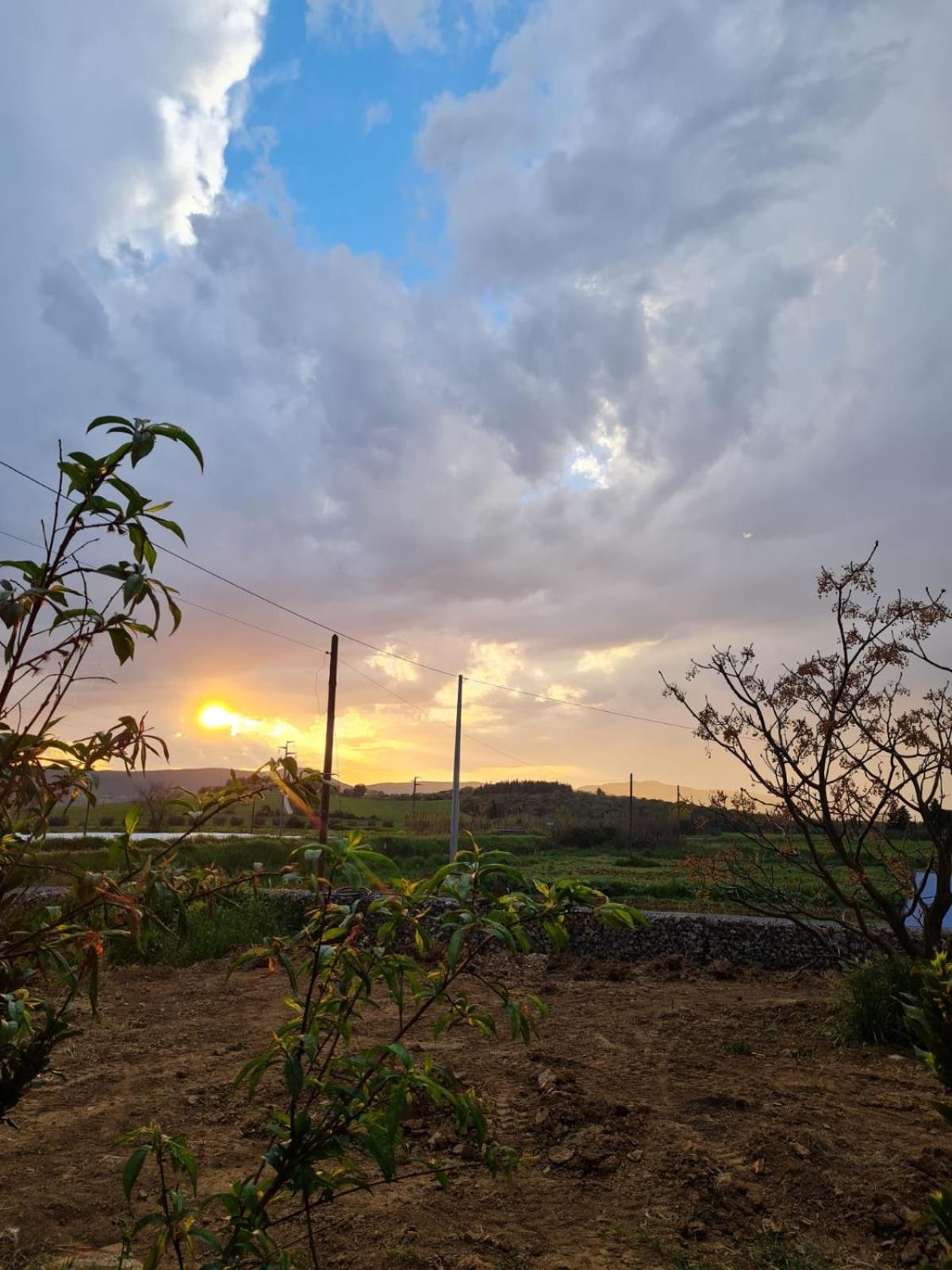Anonima Agricola
