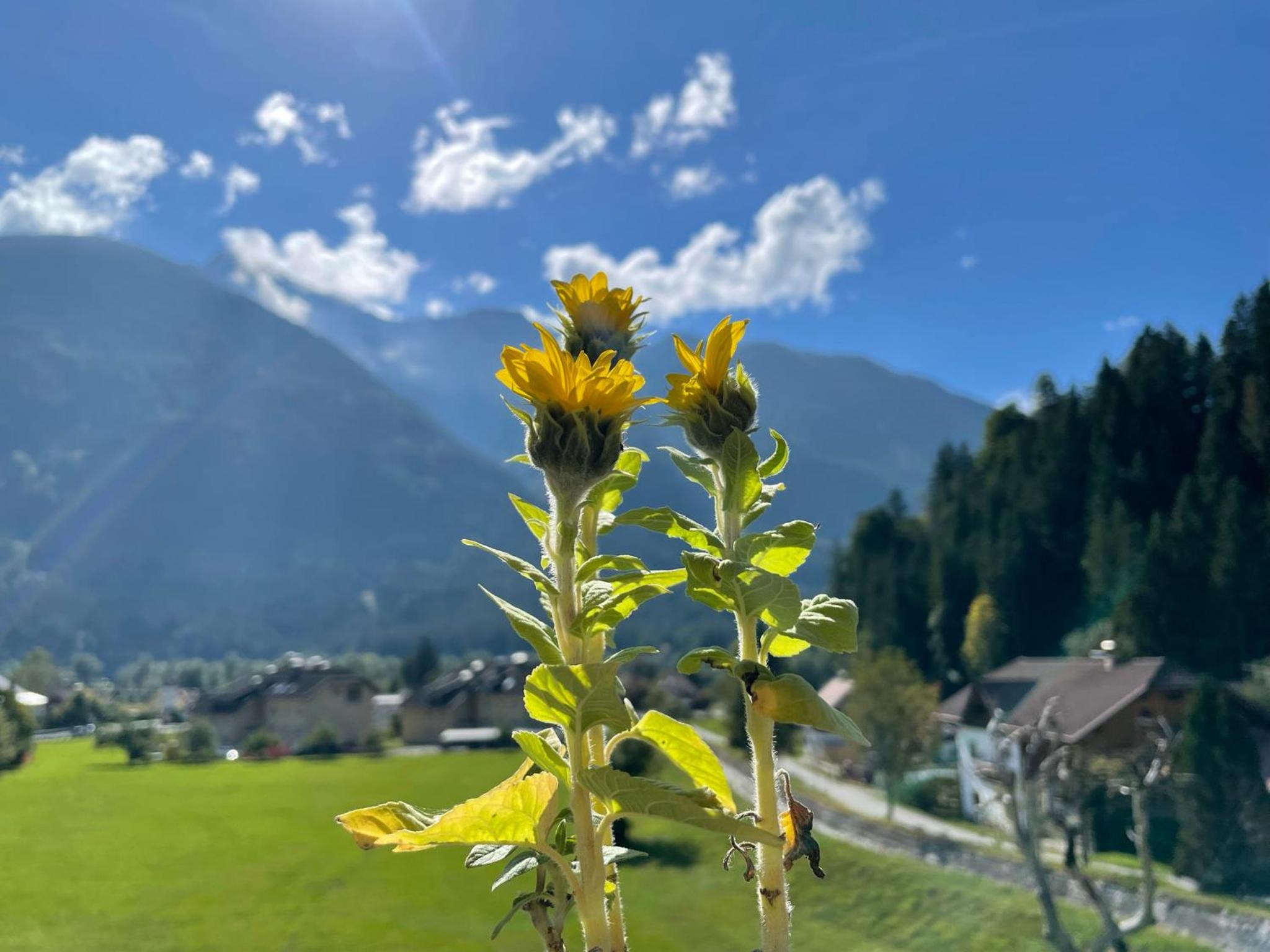 Frühstücks-Radpension Taurer-Thoman