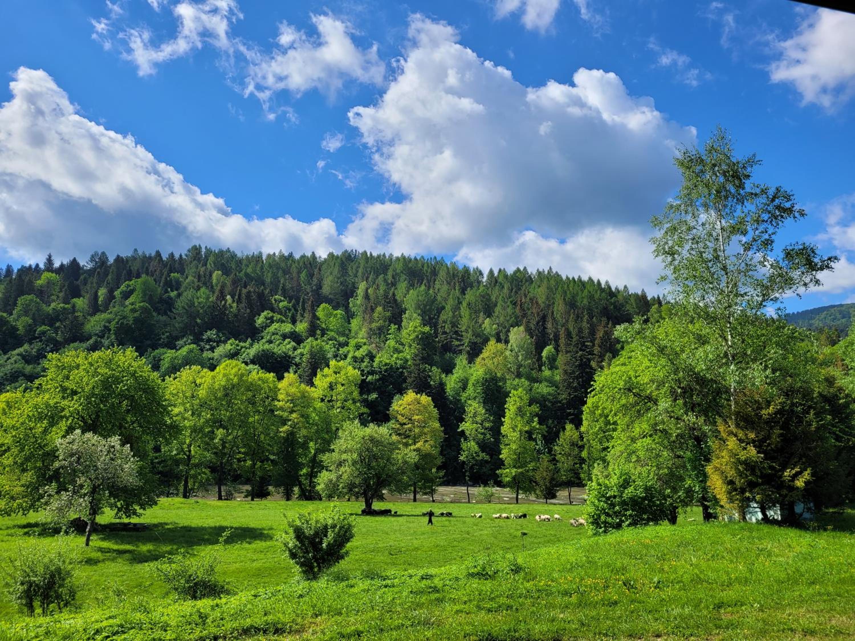 Domki u Gretka view 2