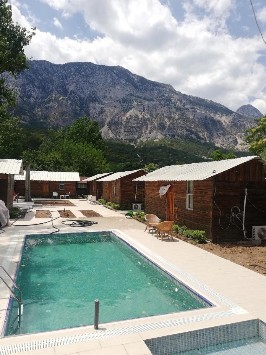 Lime tree houses view 5