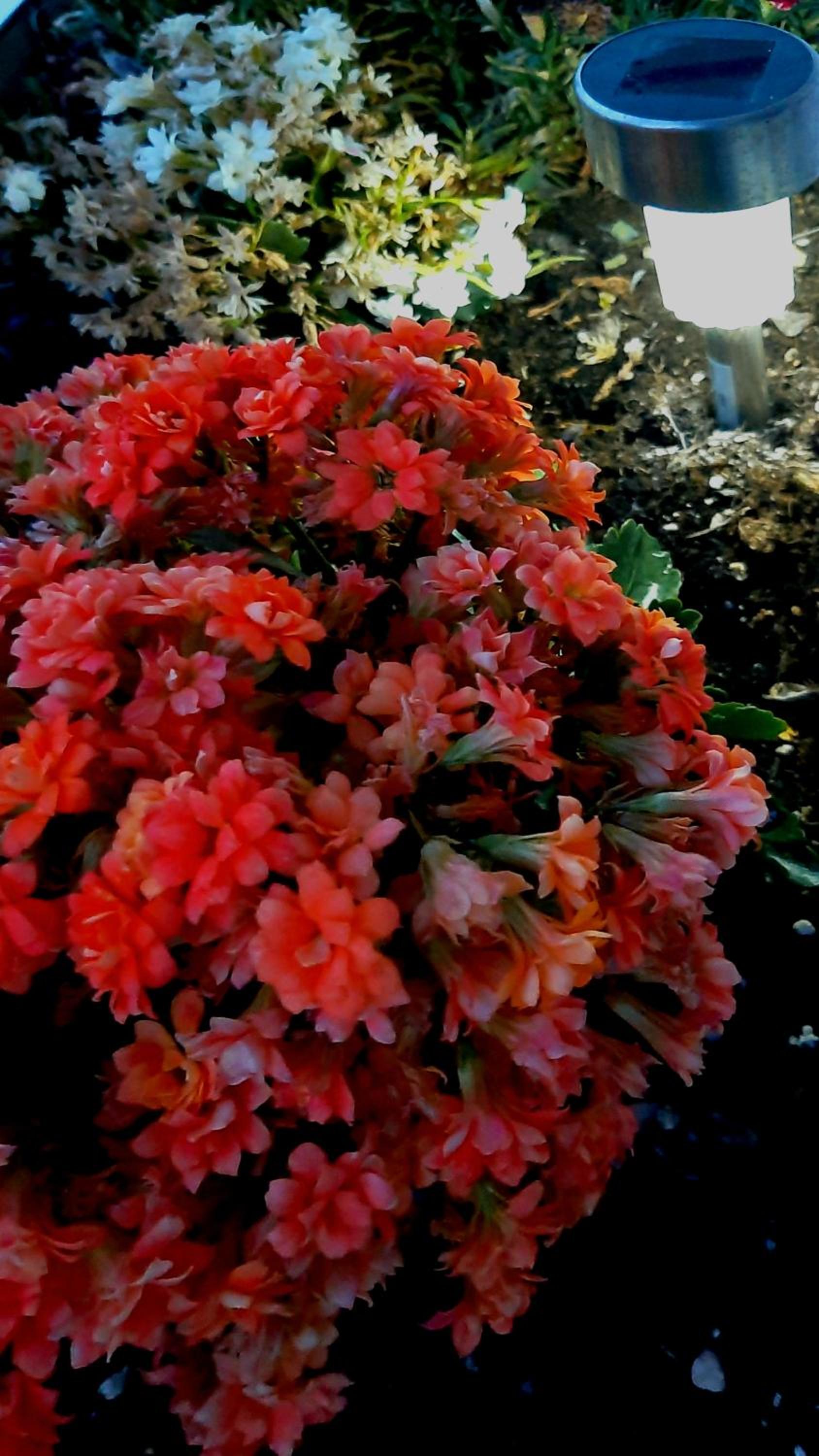 Photo 27