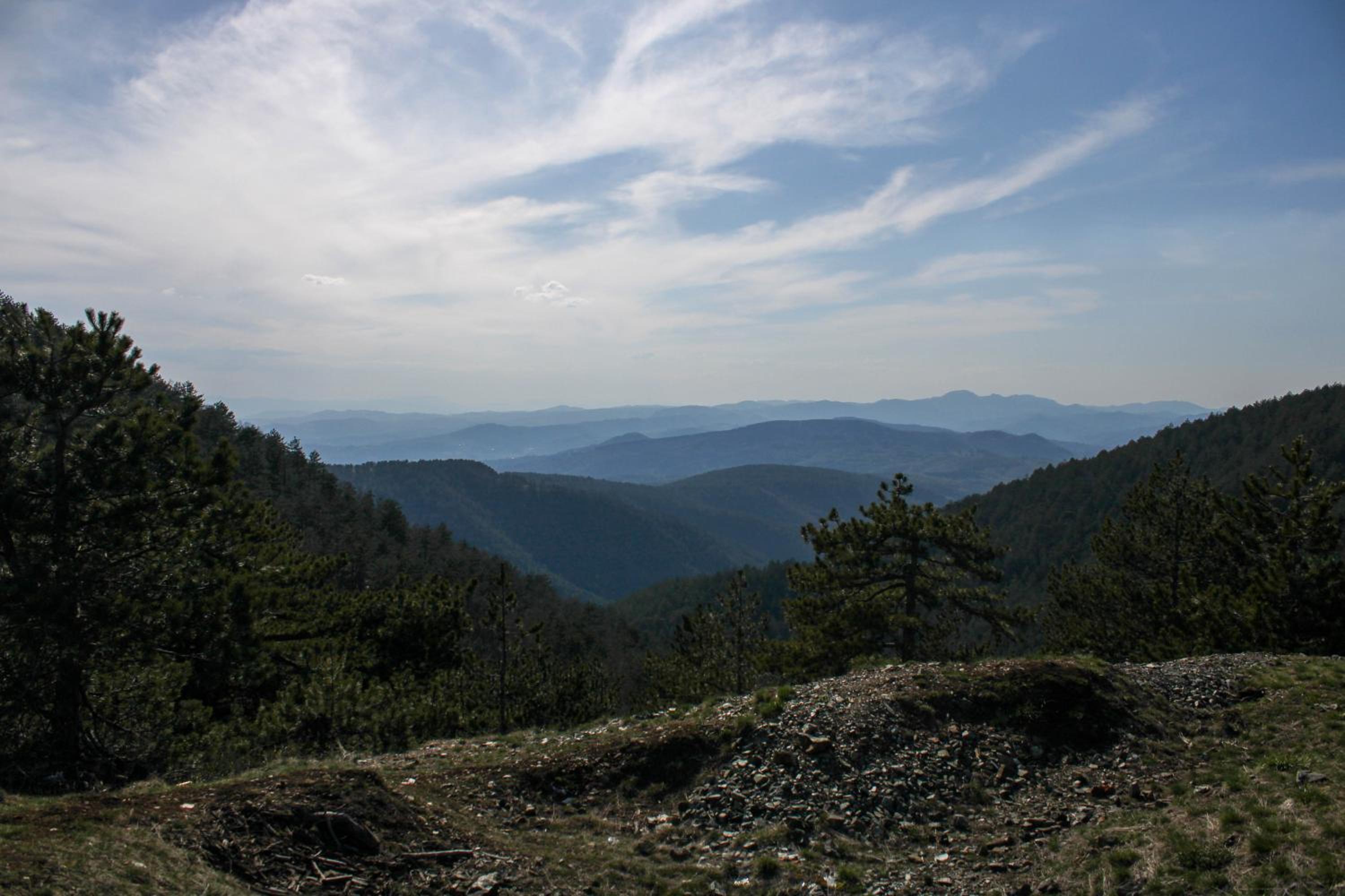 Photo 45