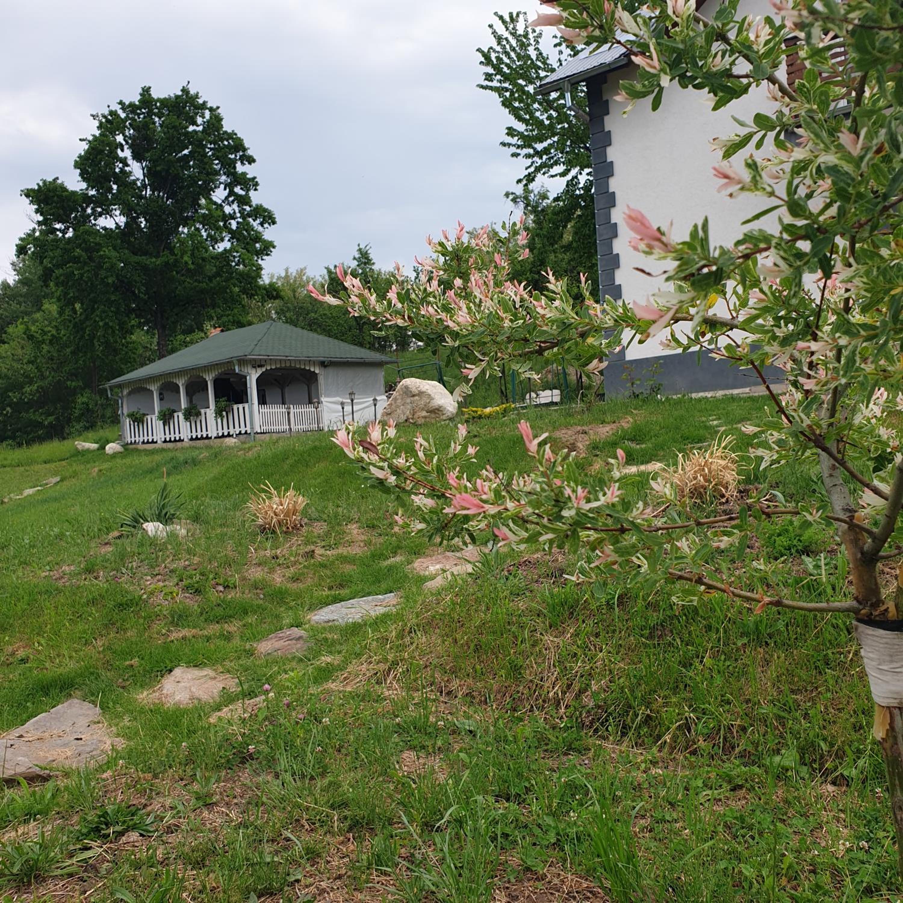 Photo 43