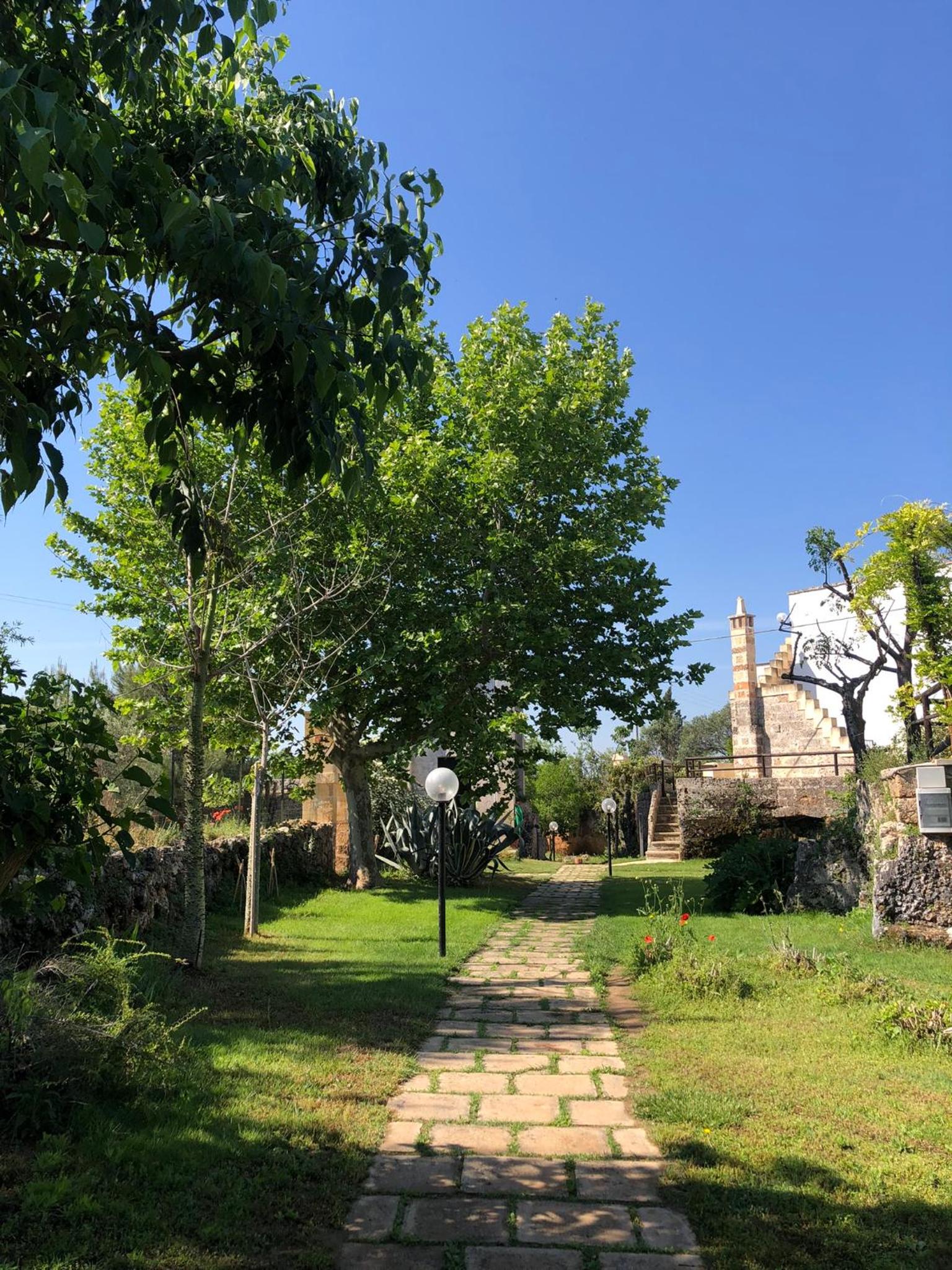 Photo 44