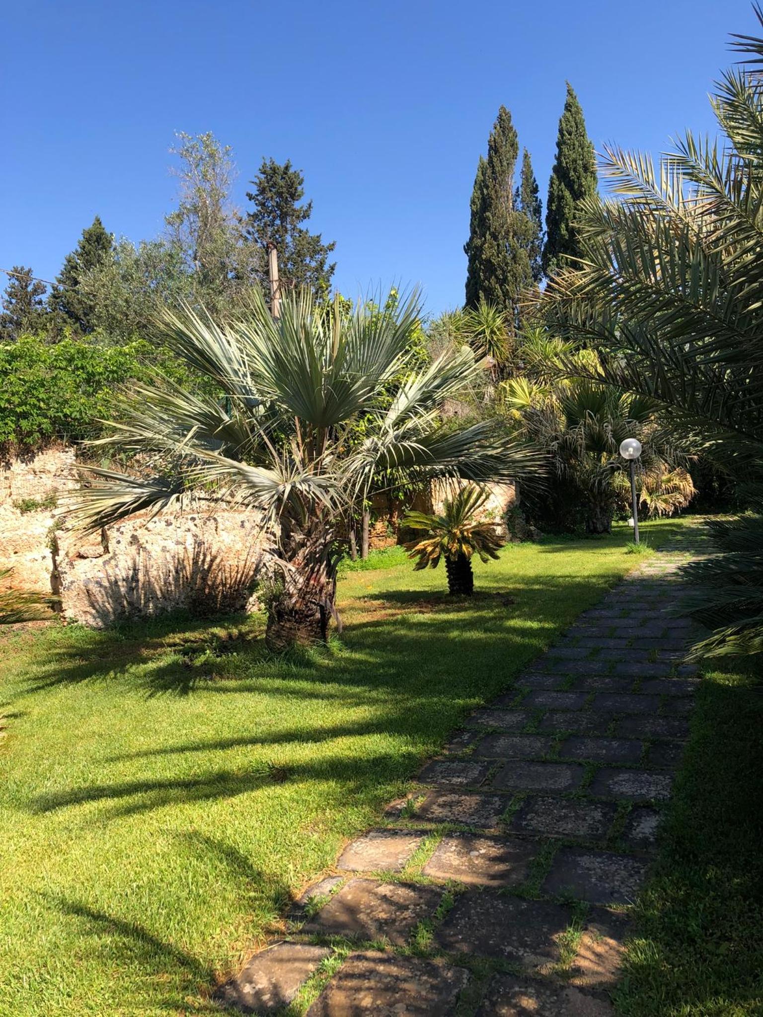 Photo 46