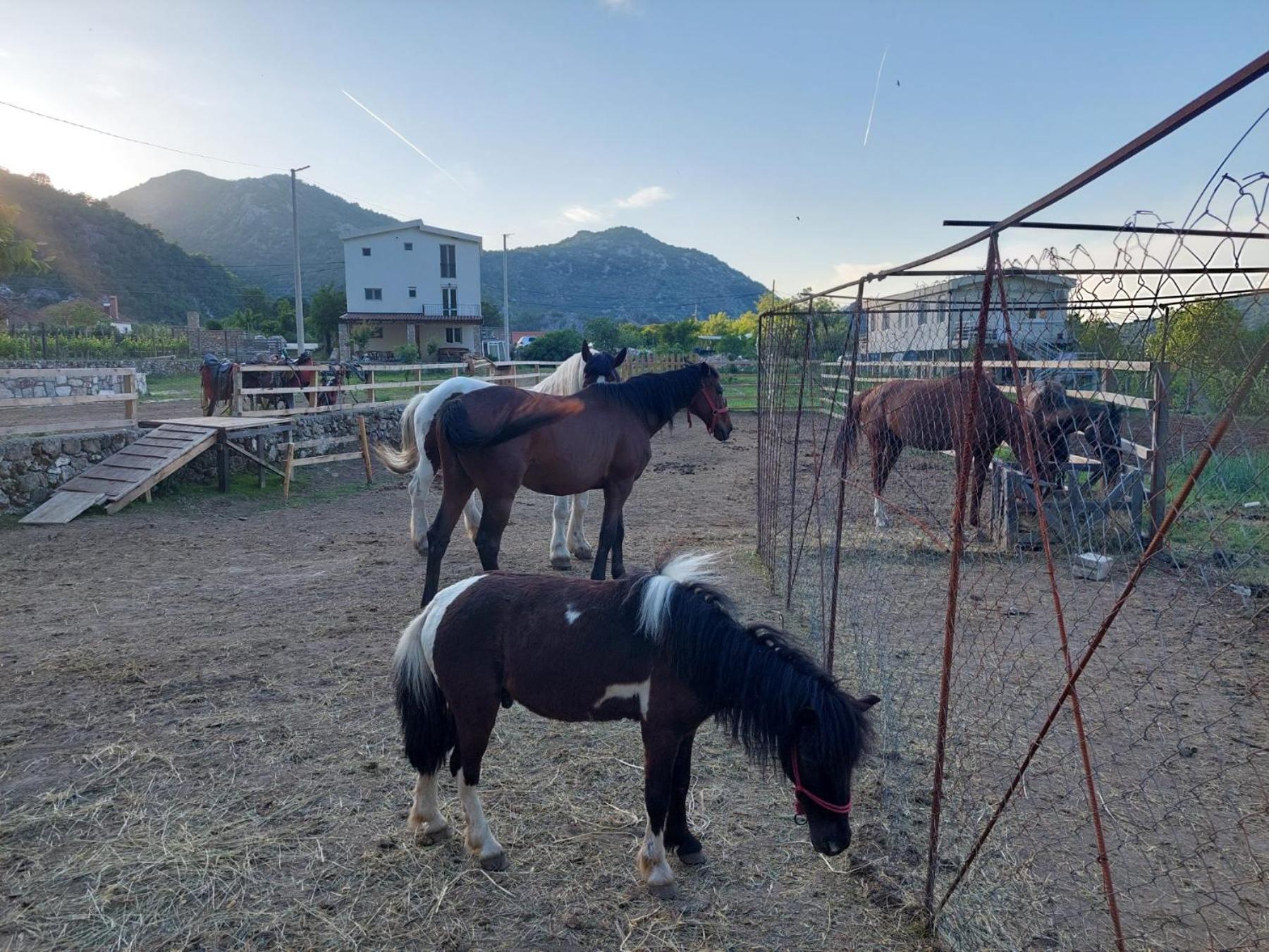 Gavros apartmani
