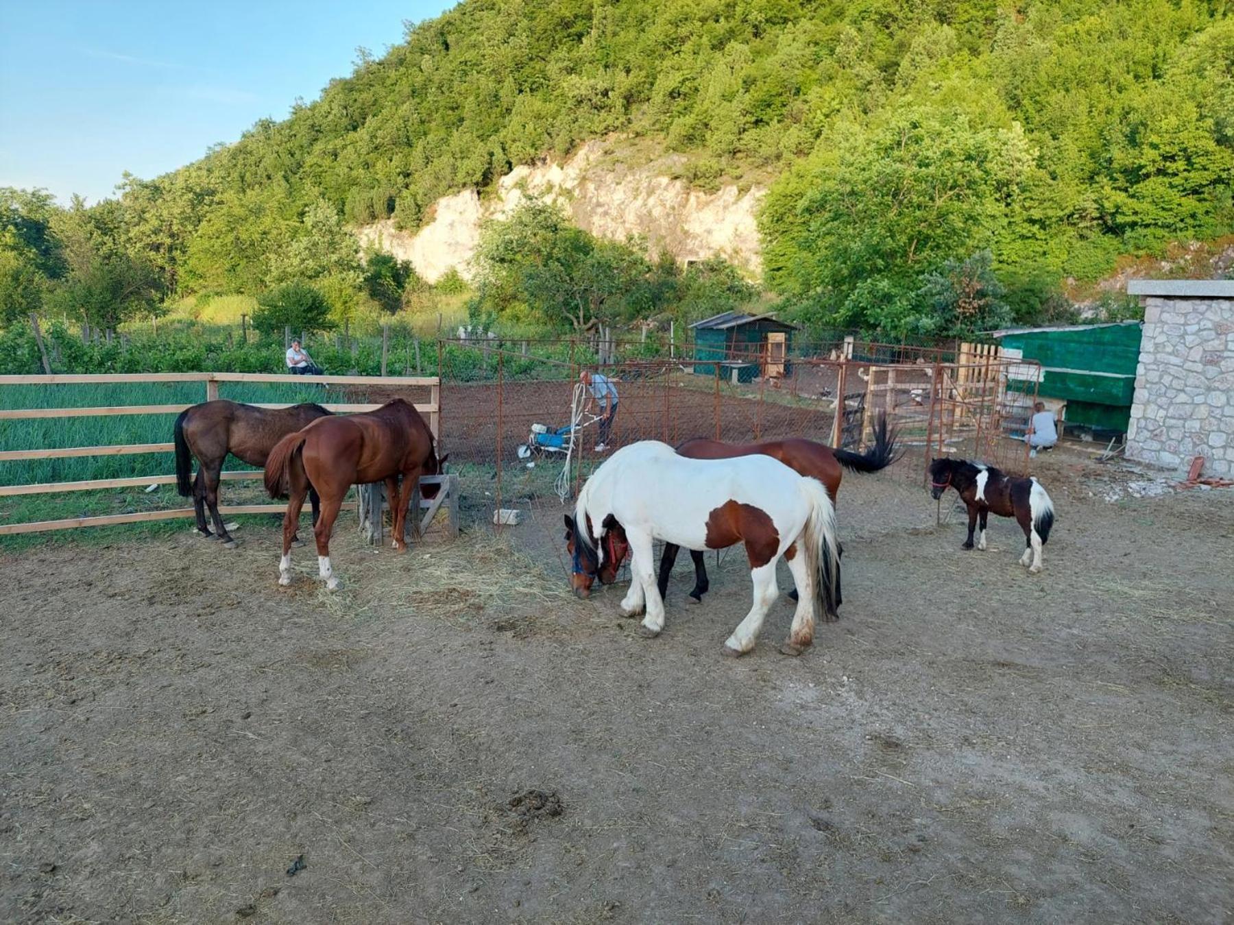 Gavros apartmani