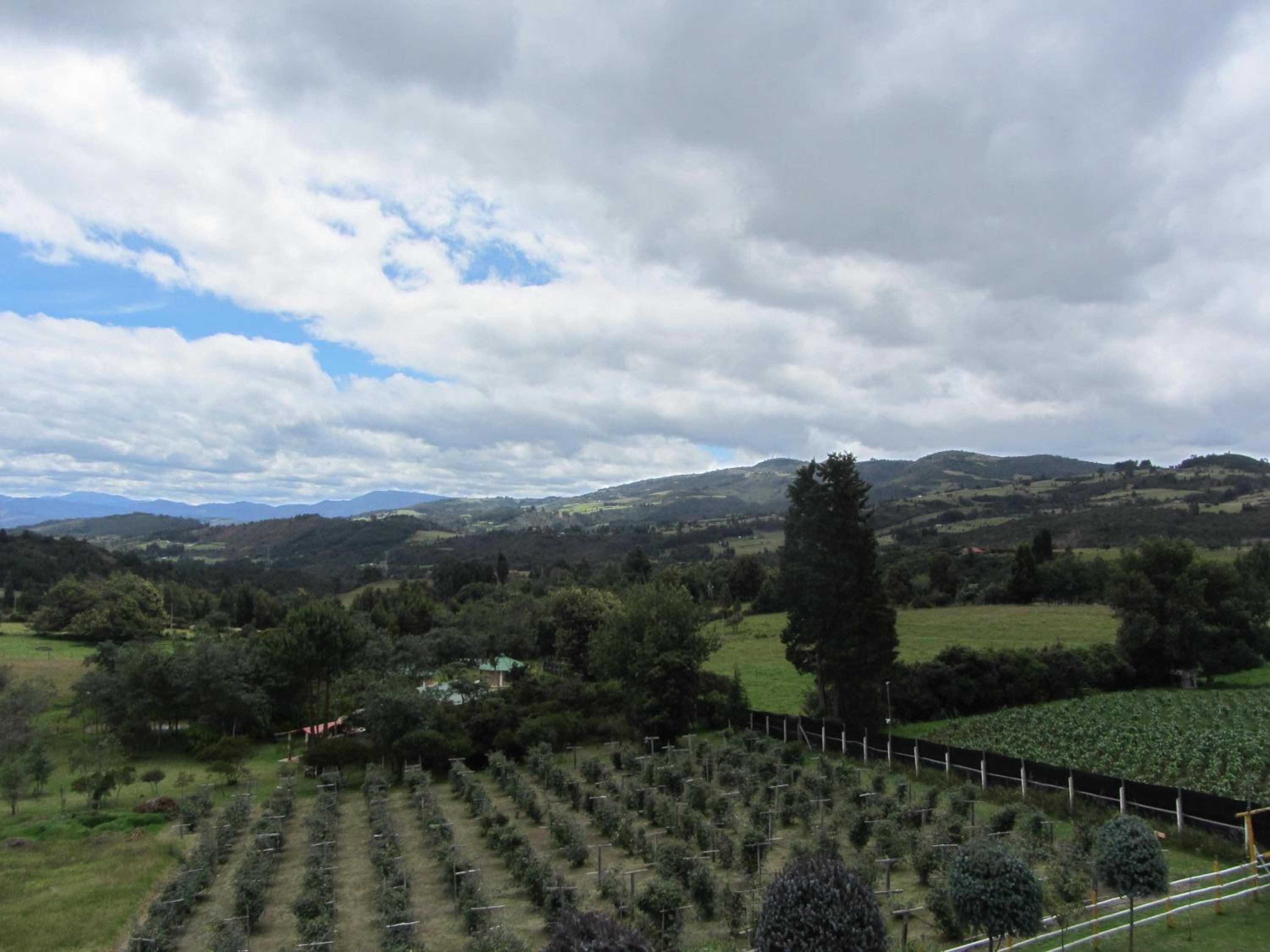 Ecohotel, Finca Colinas y Senderos, Pantano de Vargas