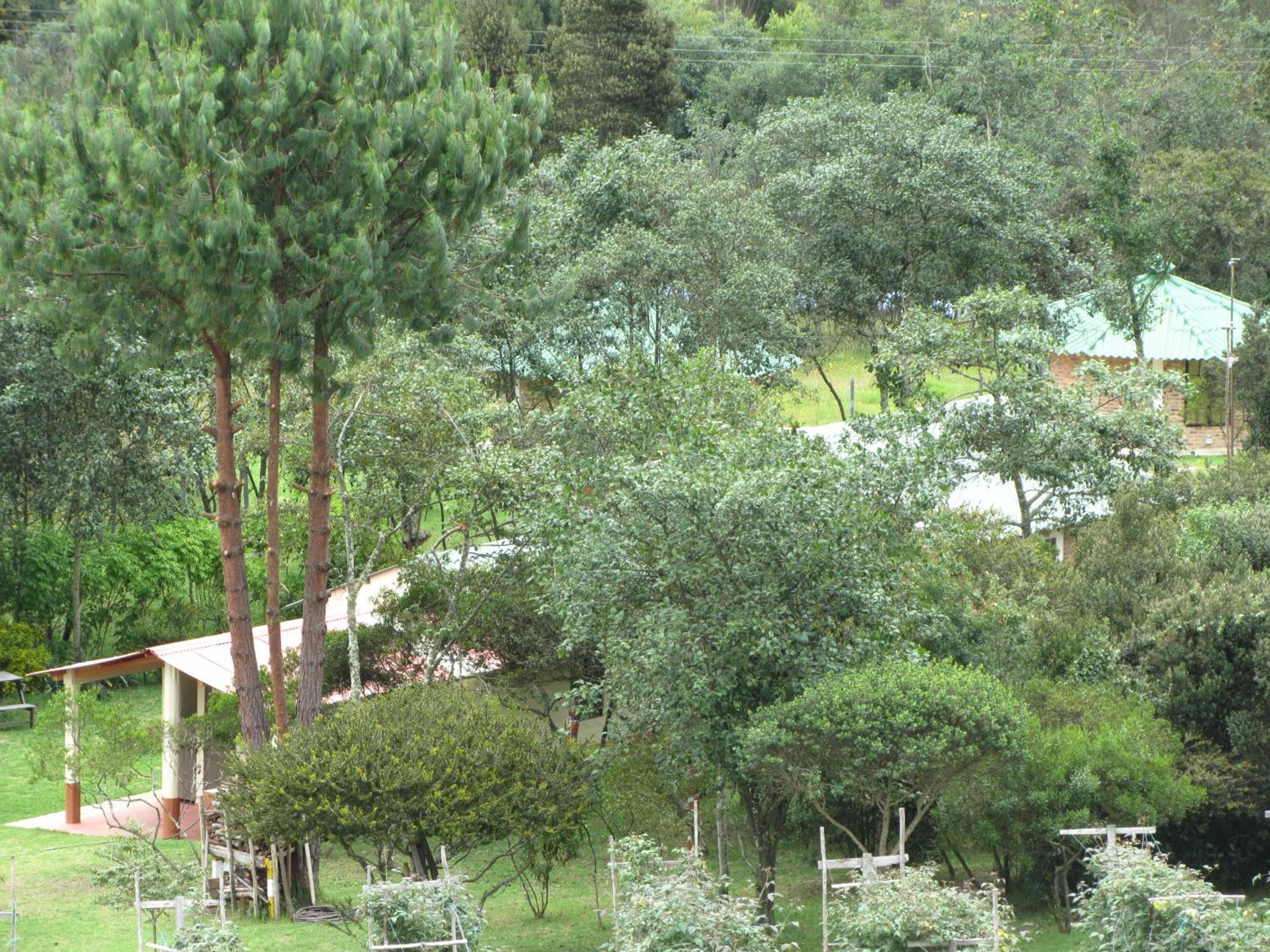 Ecohotel, Finca Colinas y Senderos, Pantano de Vargas