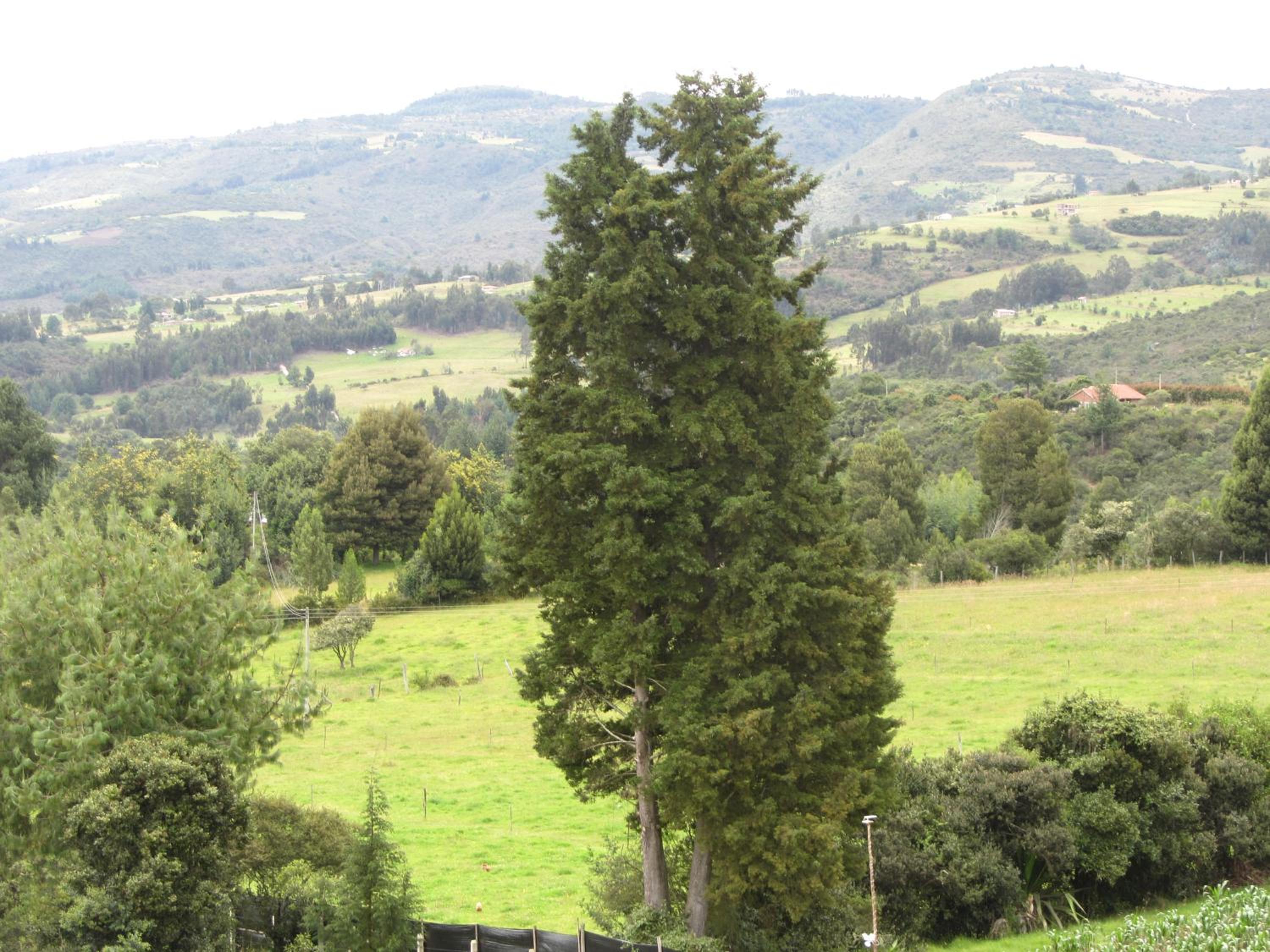 Ecohotel, Finca Colinas y Senderos, Pantano de Vargas
