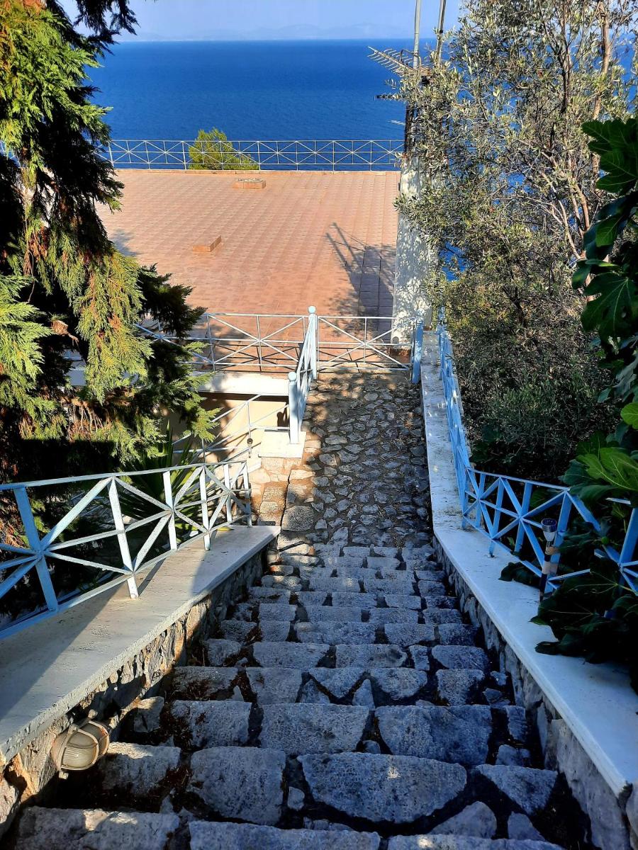 Villa Marianna photo 3