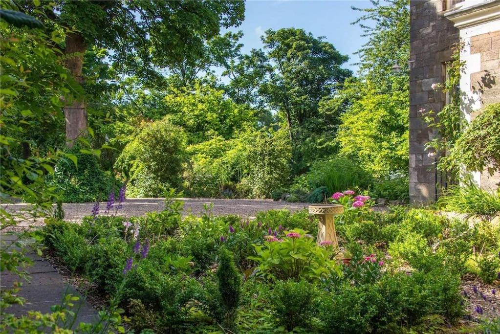 Luxury 5-bed Villa - Winfields House view 5