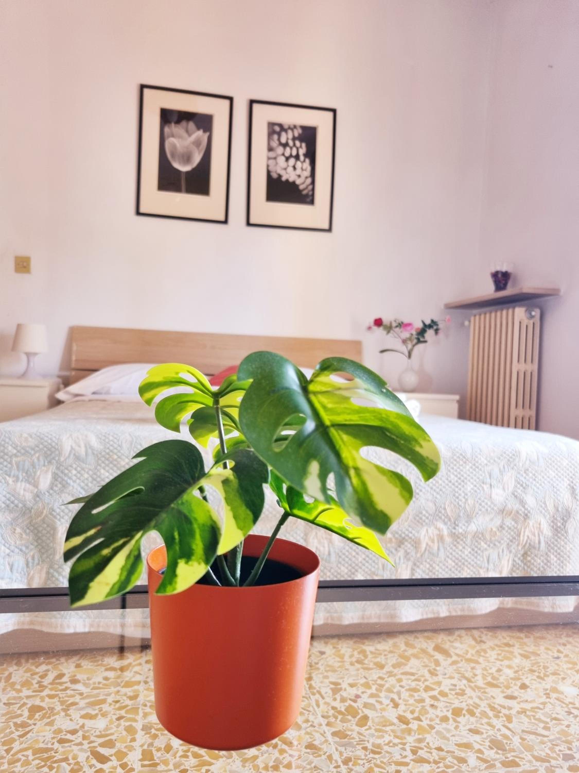 Prime Guest House