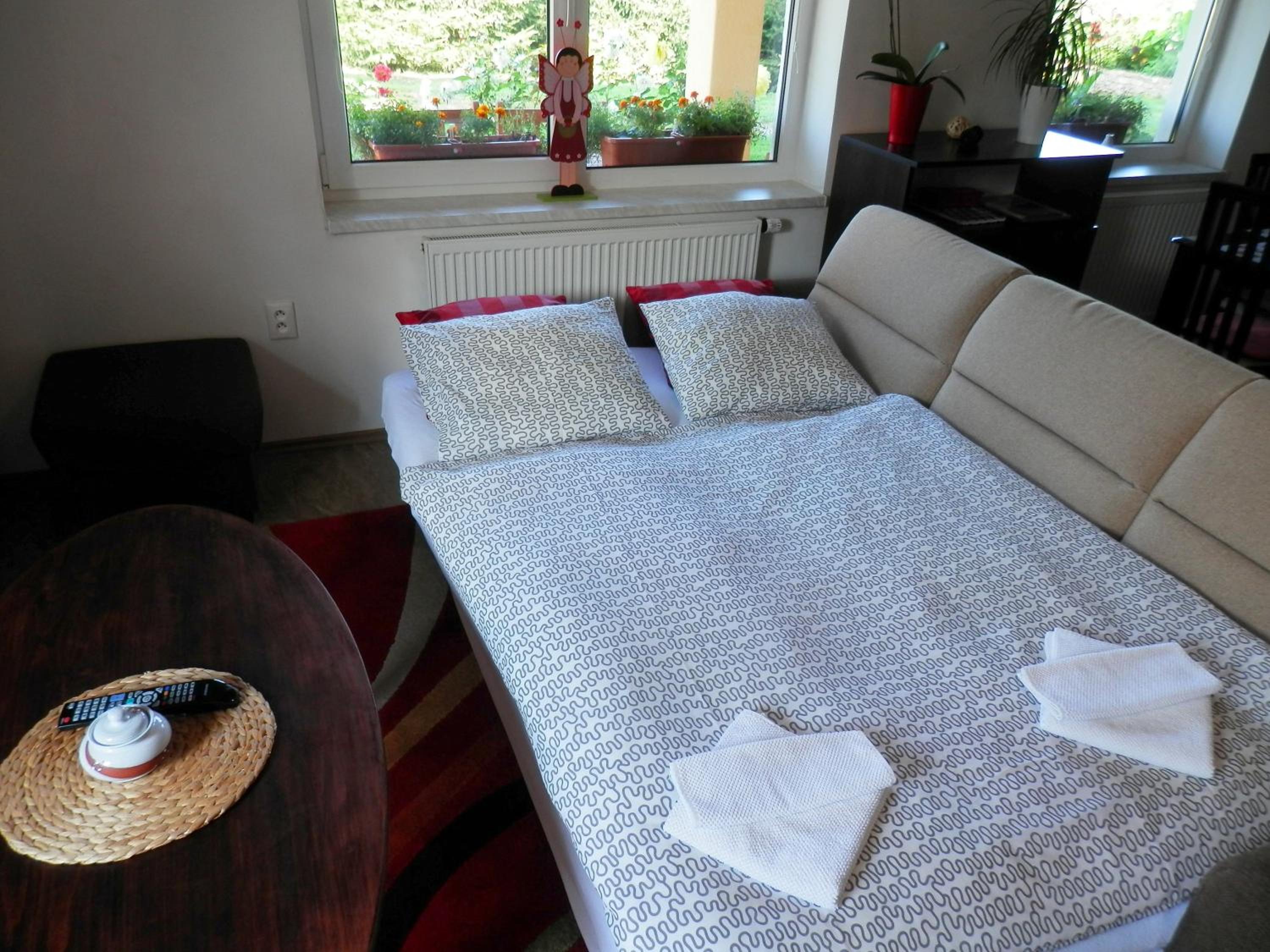 Apartment Boroví