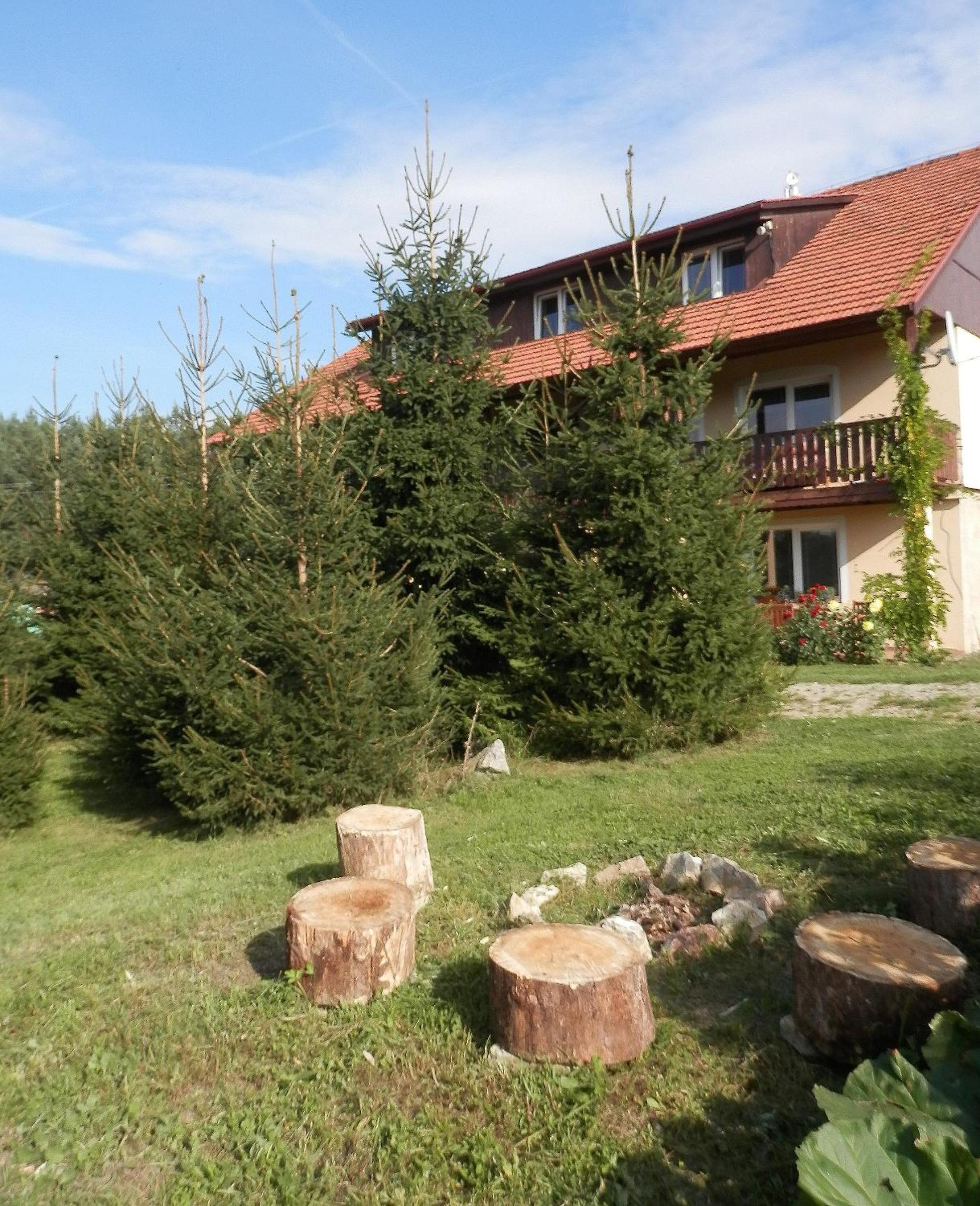 Apartment Boroví
