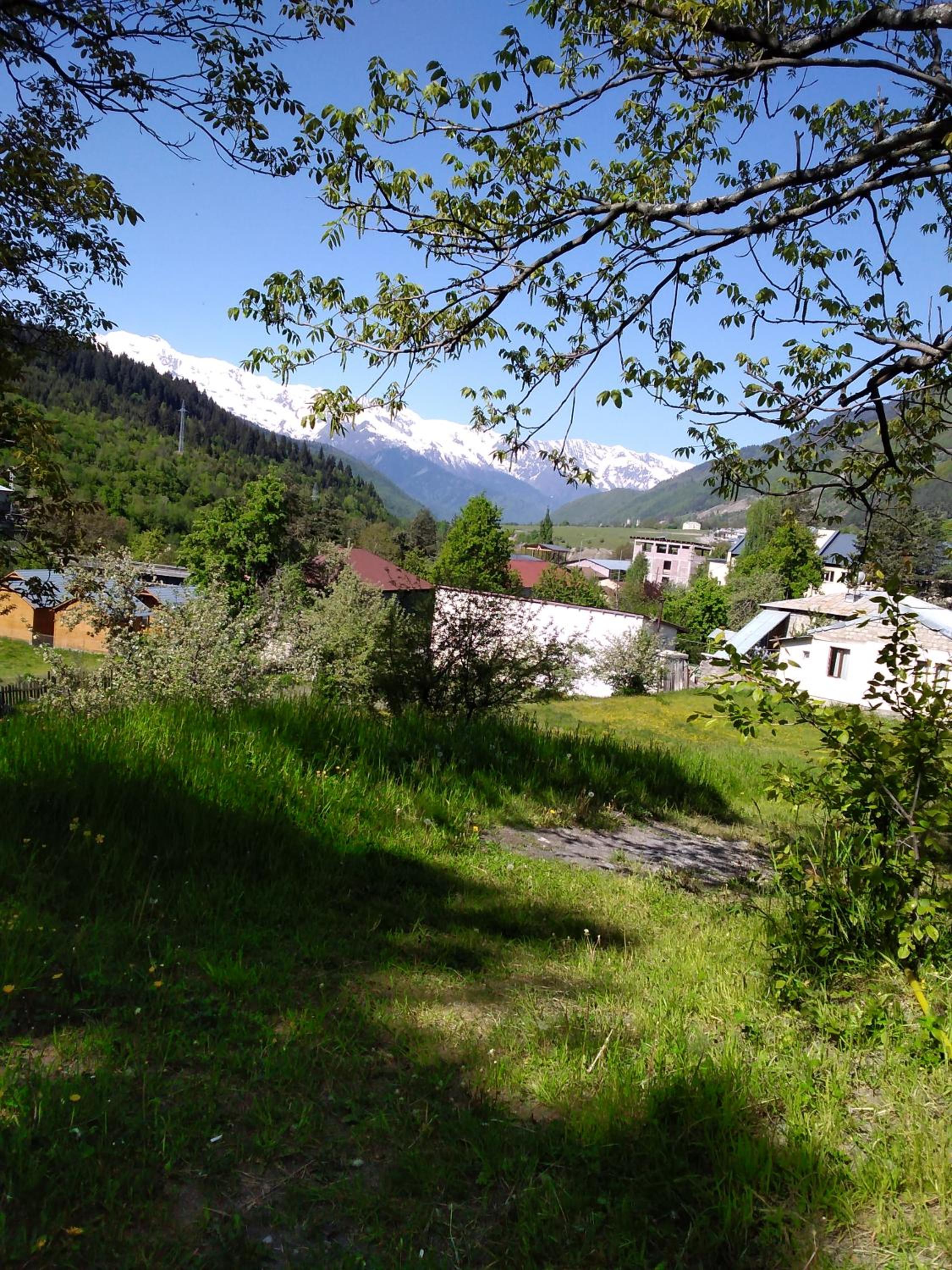 Gogi Jafaridze's Guesthouse view 4