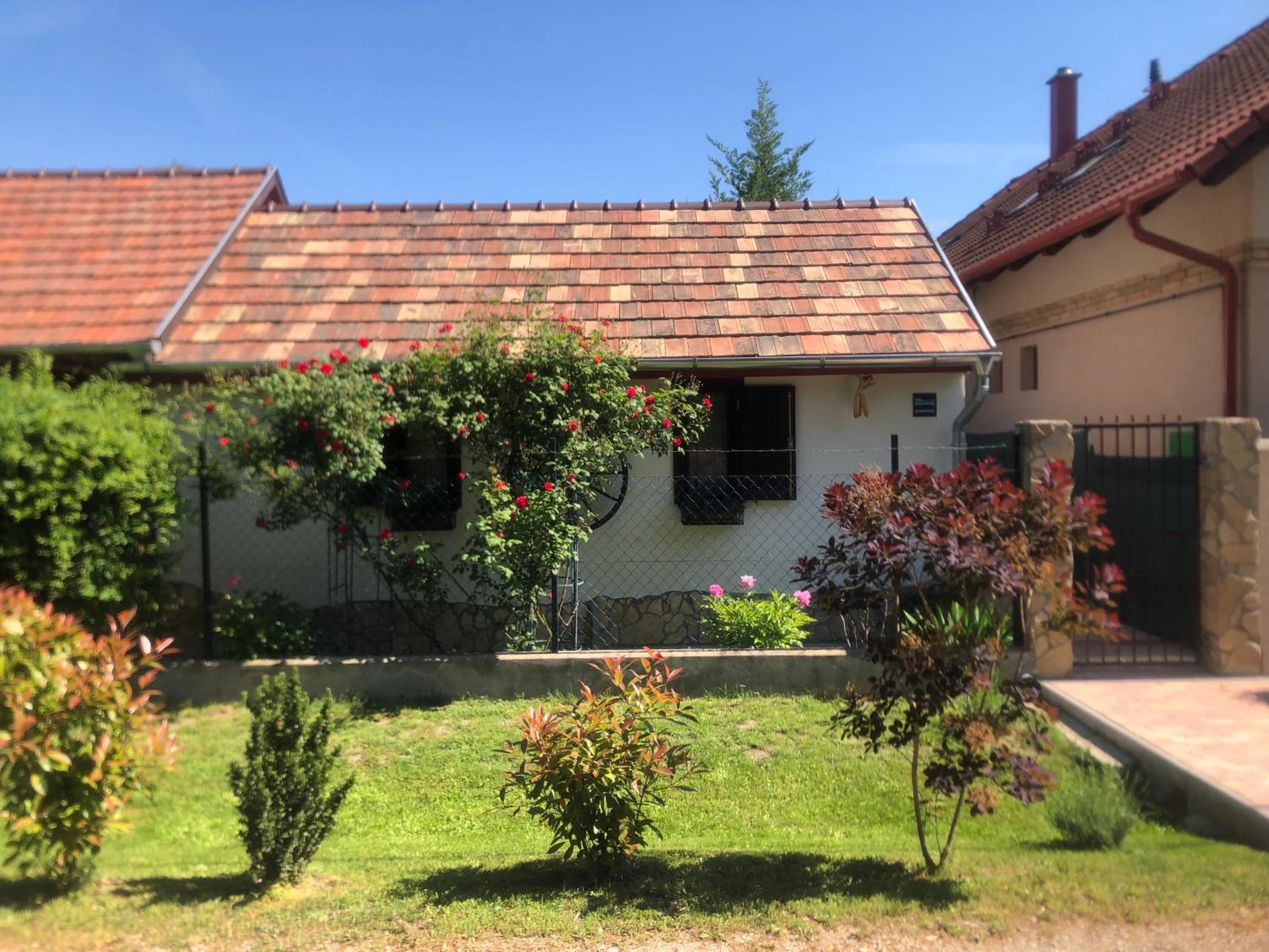 Photo 14