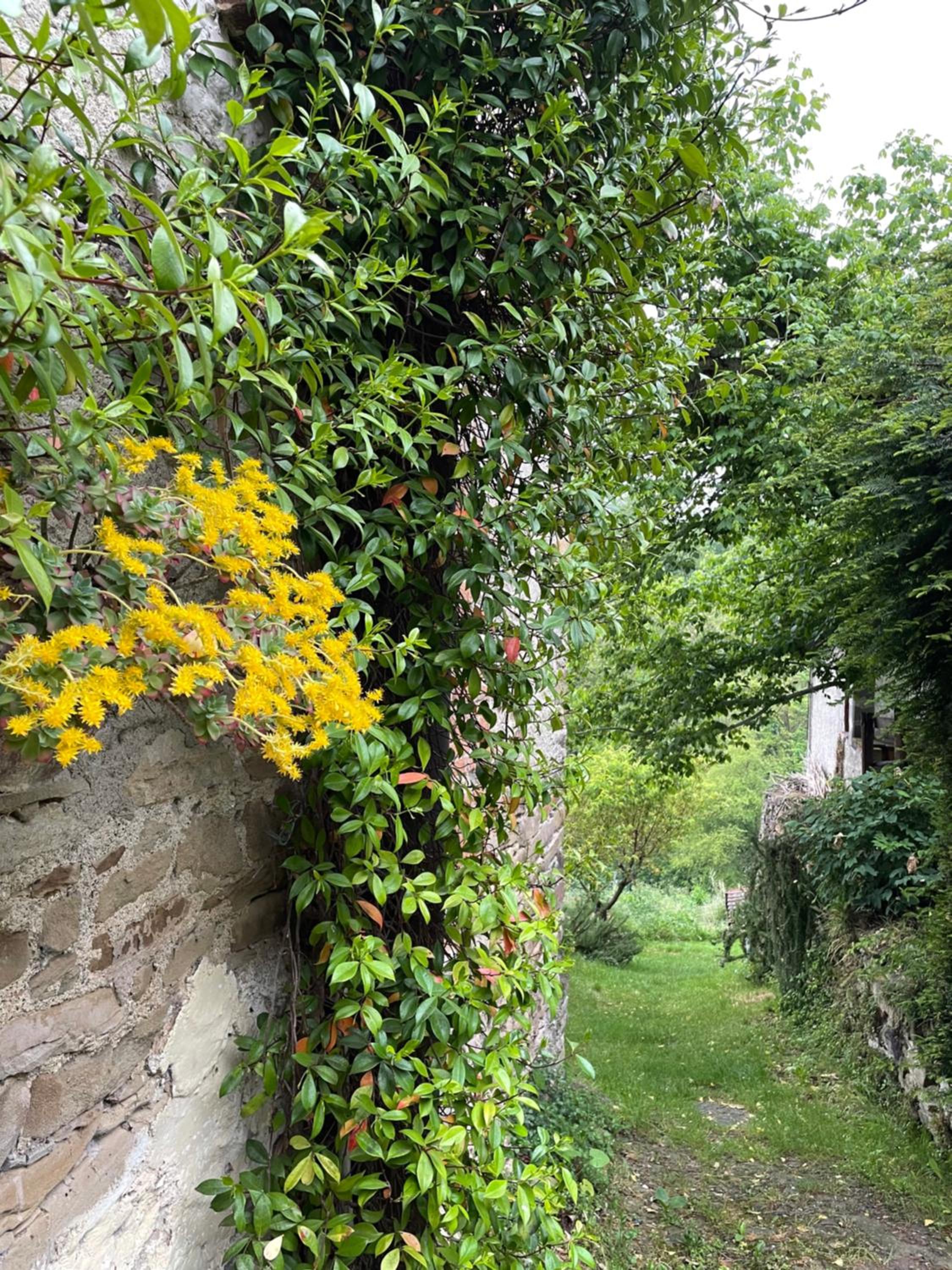 Orbregno Country Houses with Personal Wine Cellar view 5