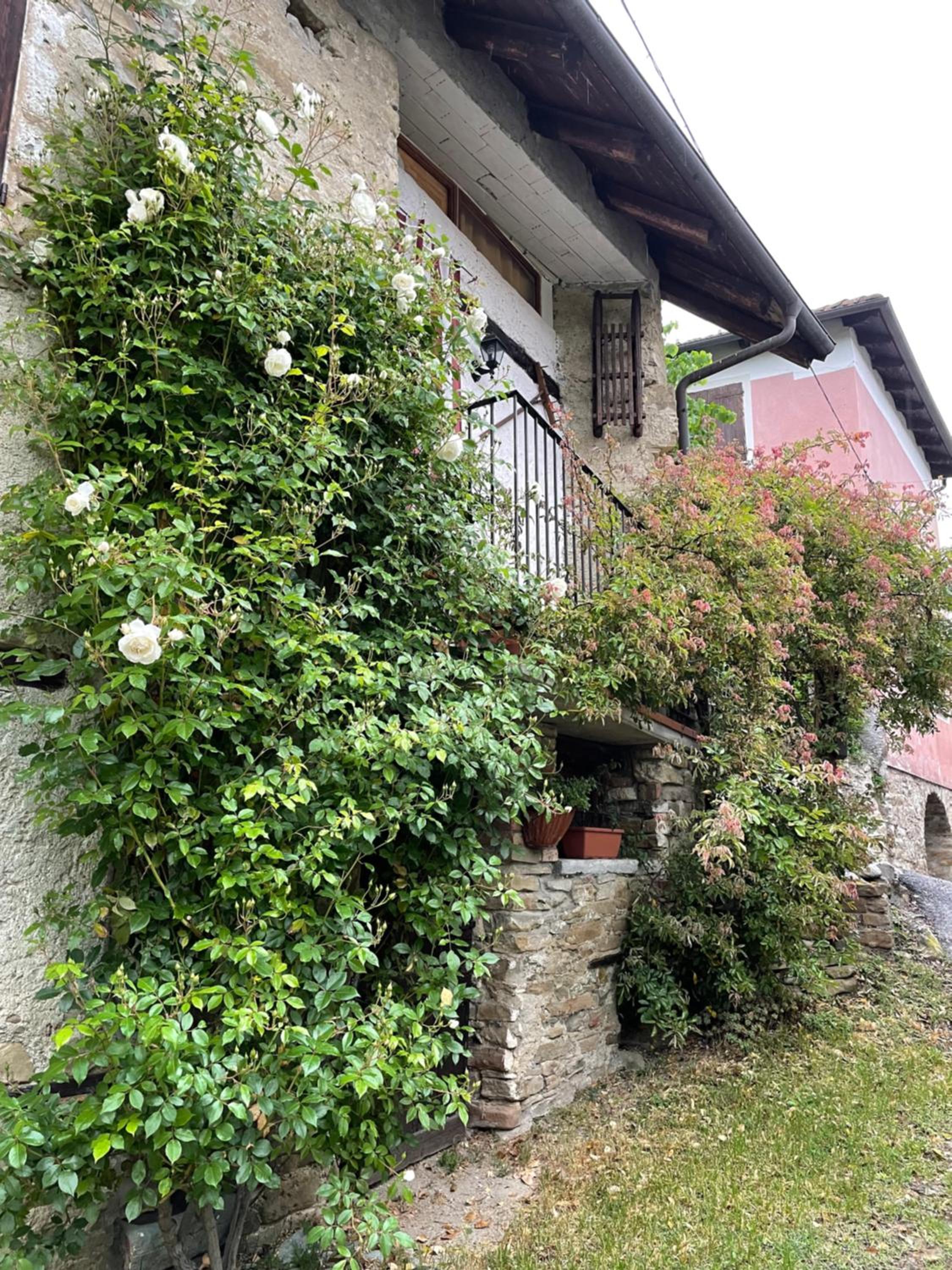 Orbregno Country Houses with Personal Wine Cellar view 4