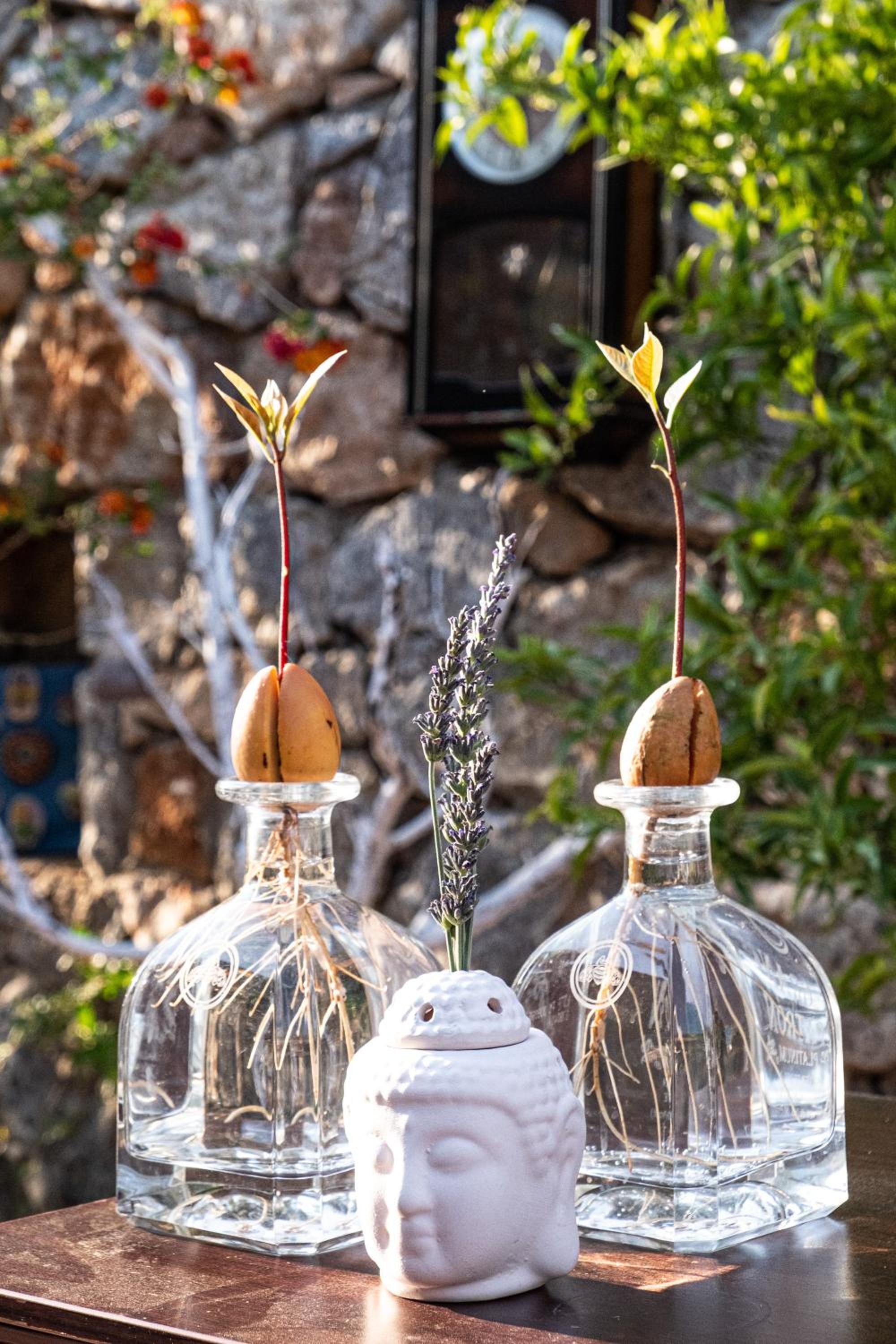 Casa Di Pietra - Image 43