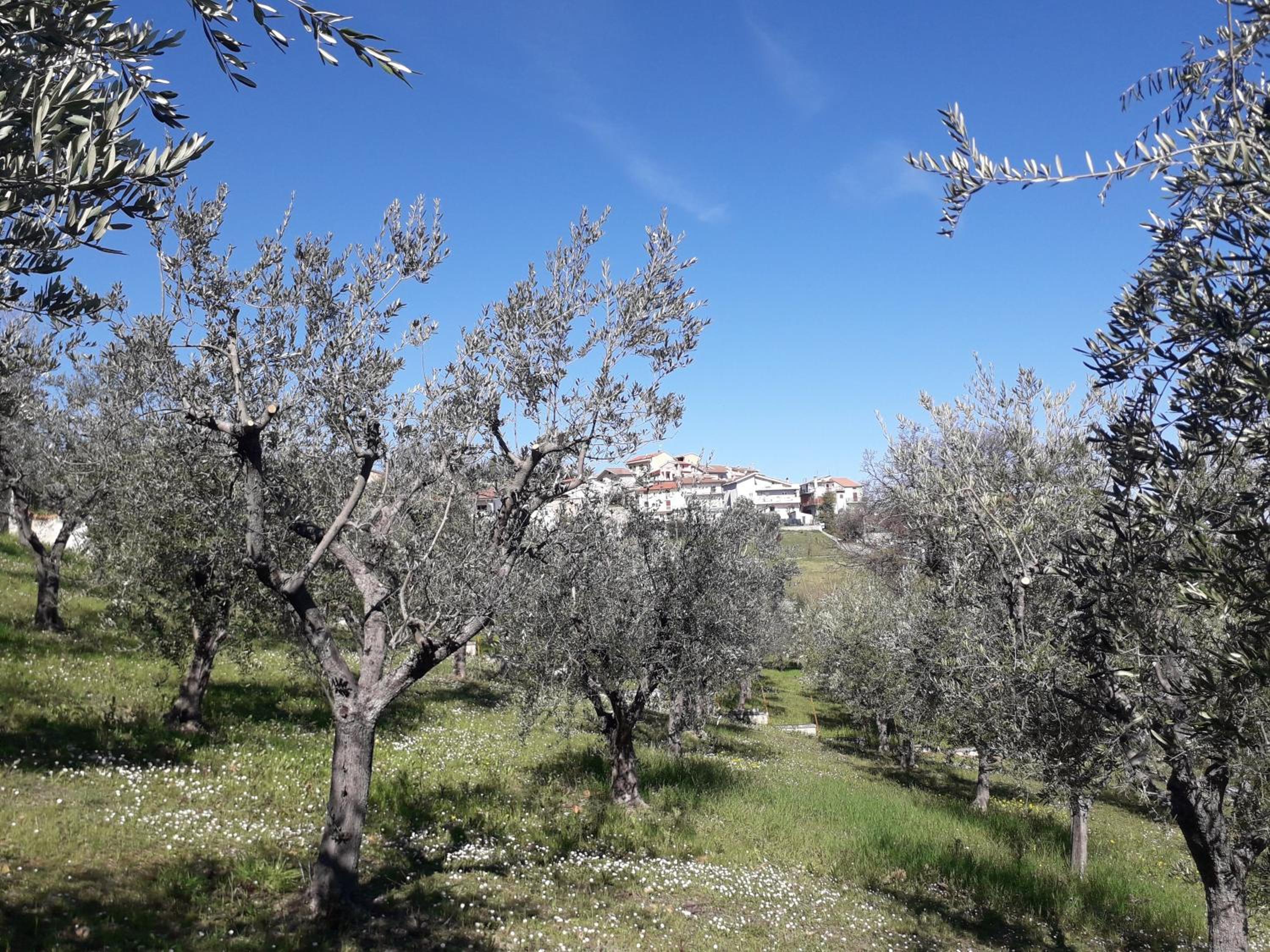 Villino Sabina