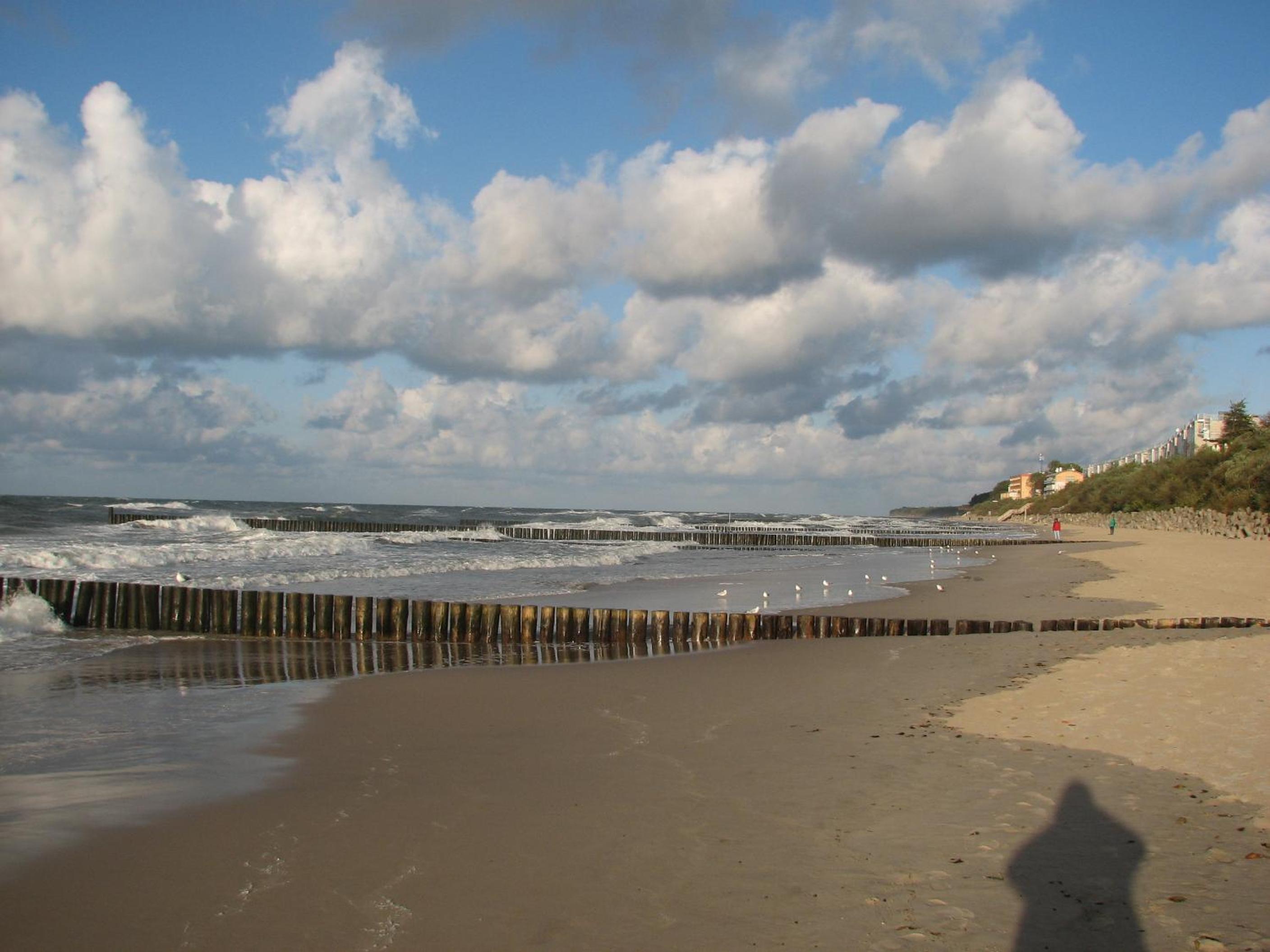 Photo 40