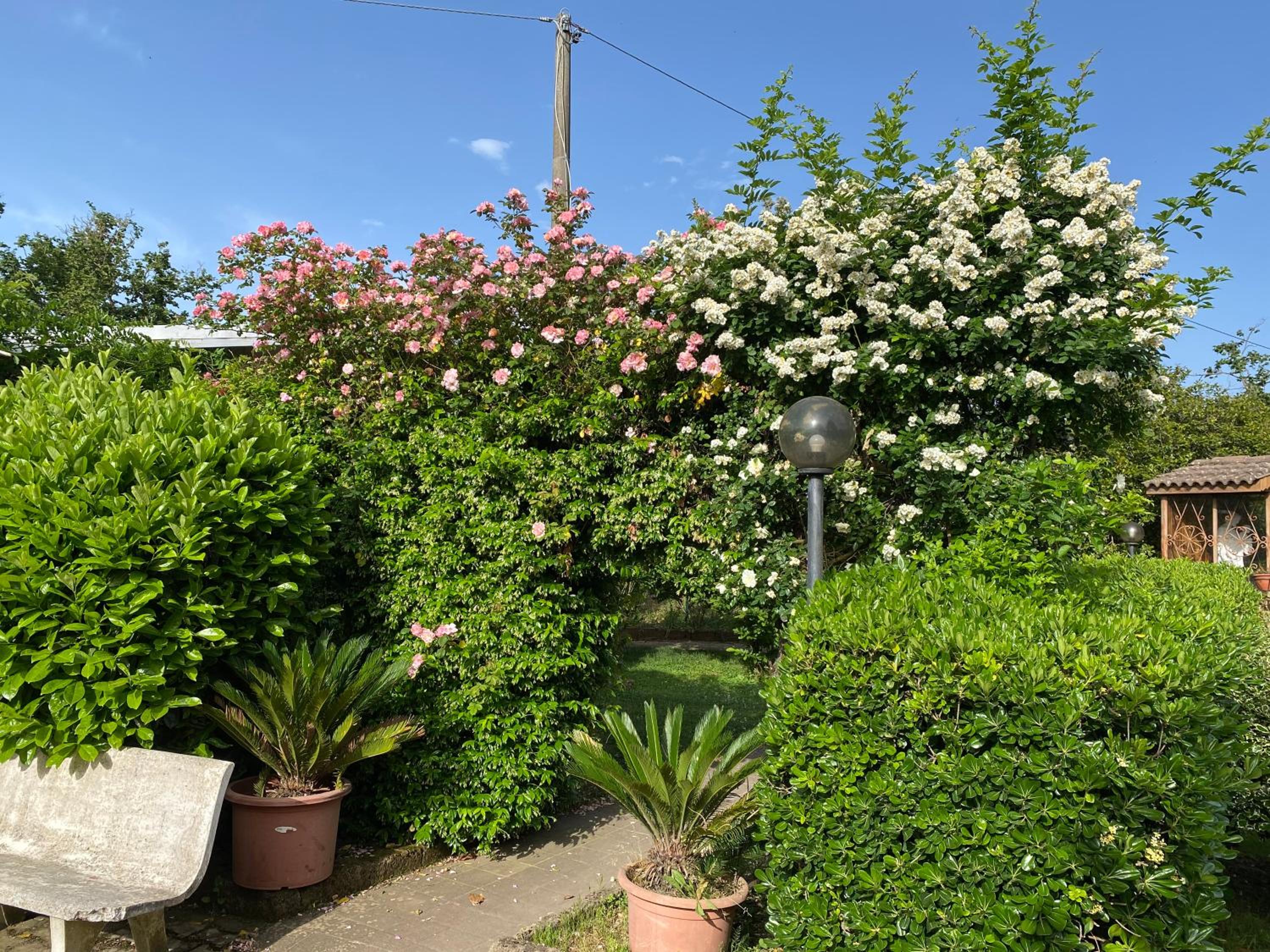 Photo 20
