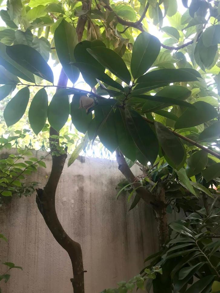 Casa de Ferias, photo 84